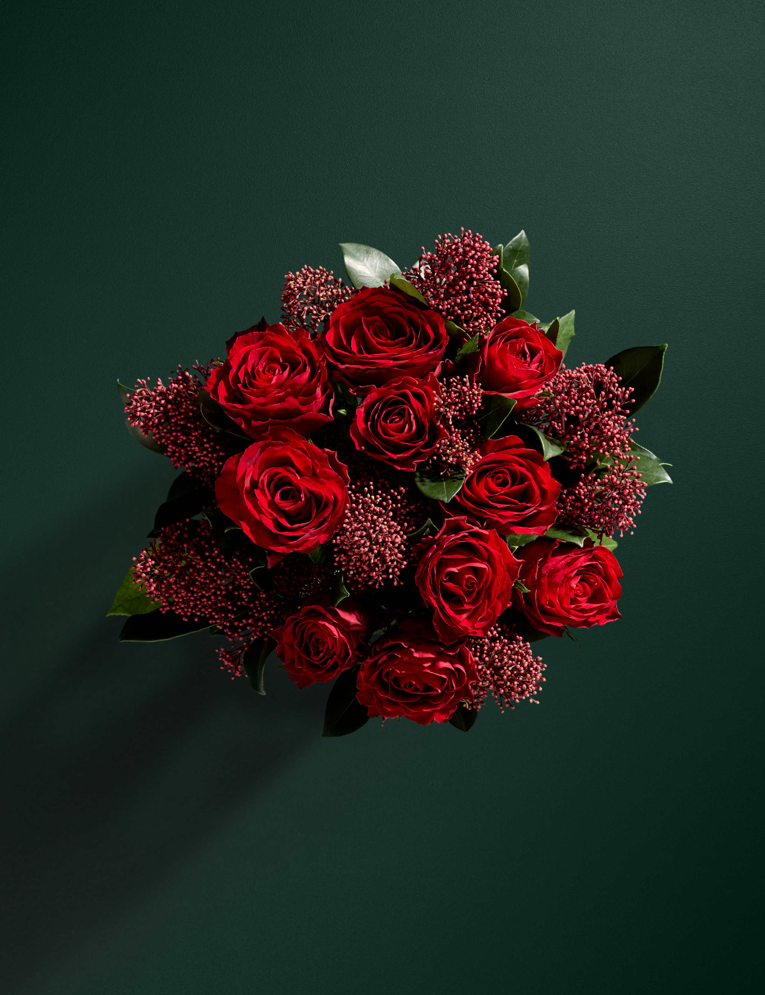 Rose & Skimmia Posy with Pistachio Gnomes 2 of 6