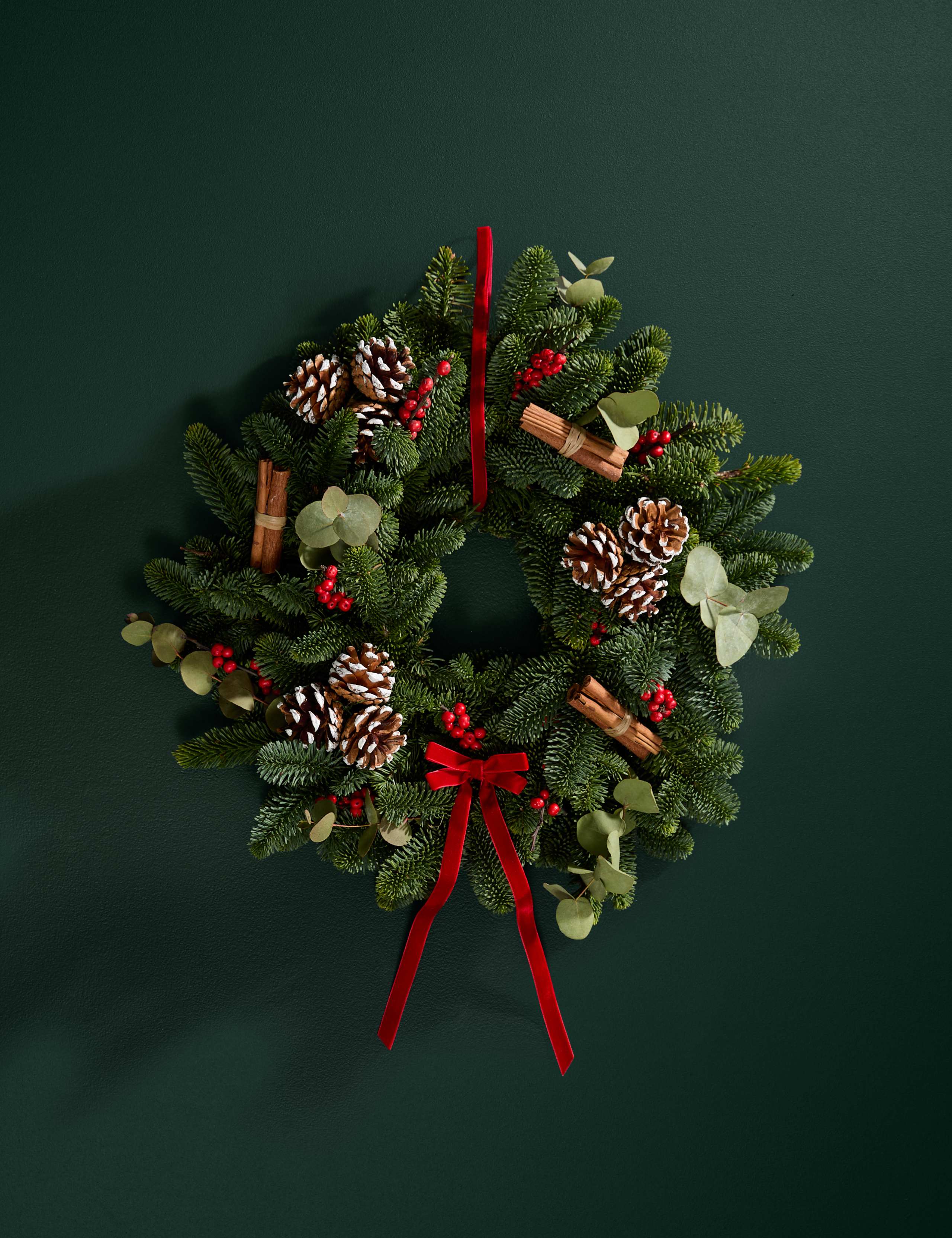 Christmas Wreath Making Kit for 4 with Delacourt Champagne 3 of 9