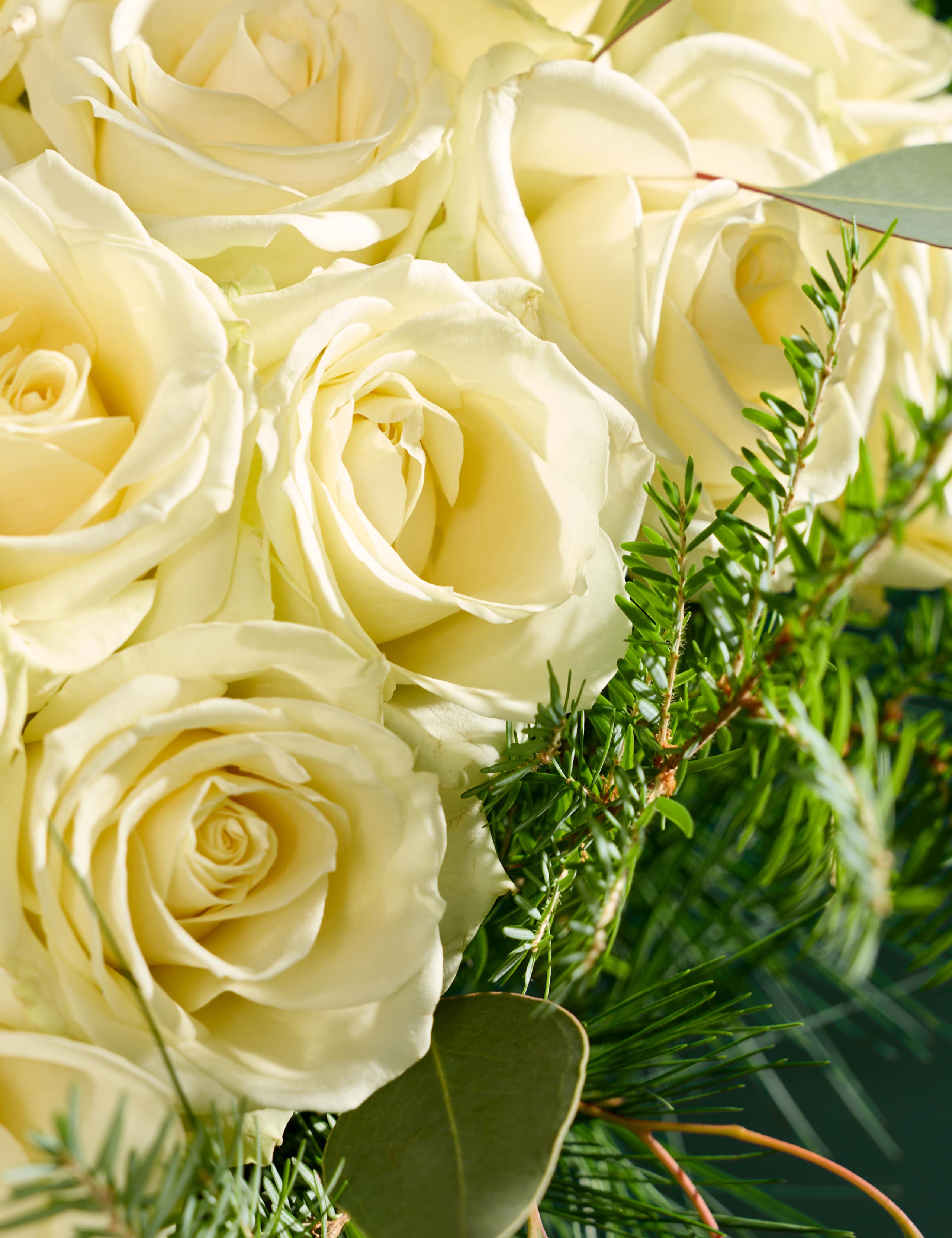 Luxury White Rose & Eucalyptus Christmas Bouquet with Vintage Champagne 3 of 5