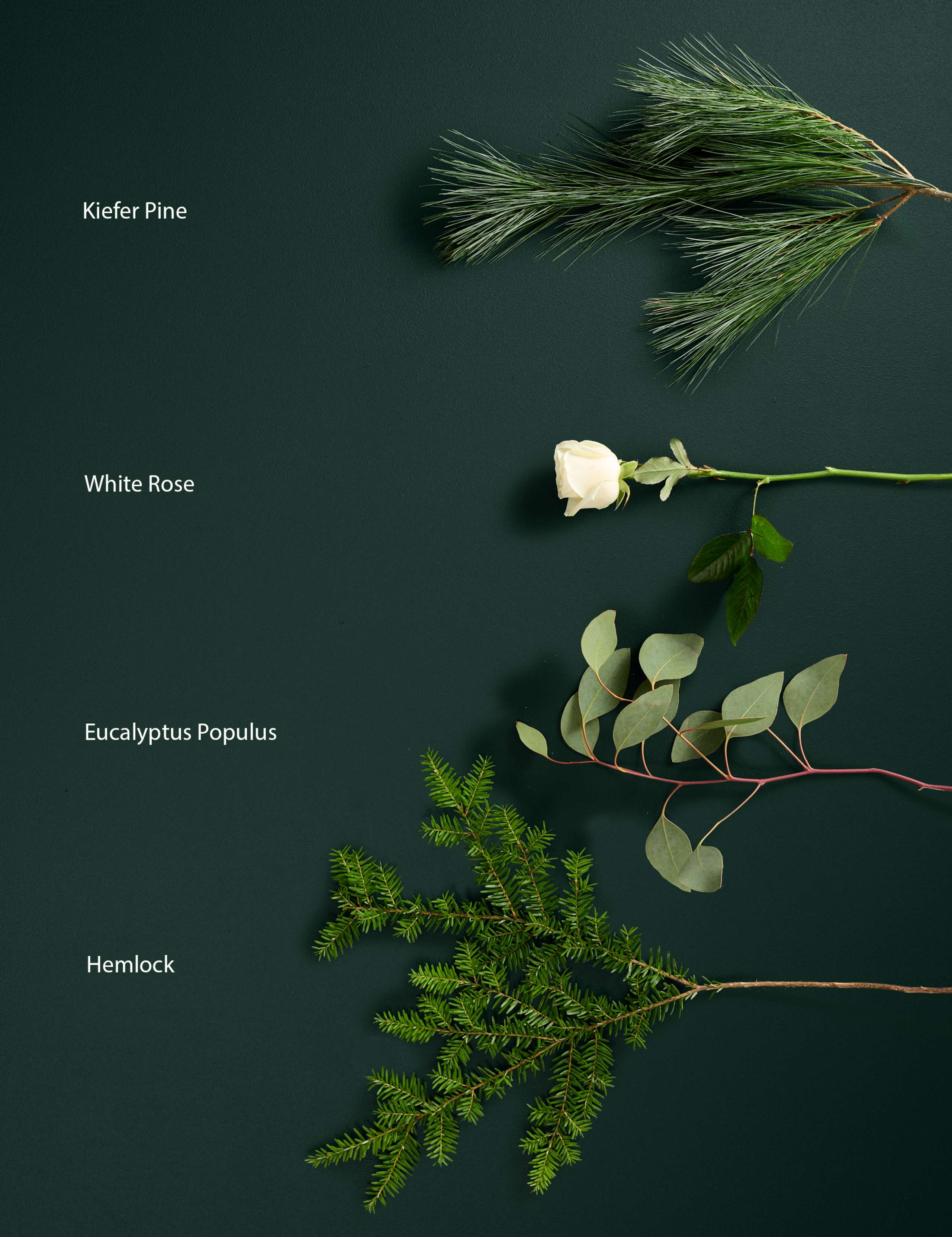 Luxury White Rose & Eucalyptus Christmas Bouquet with Vintage Champagne 4 of 5