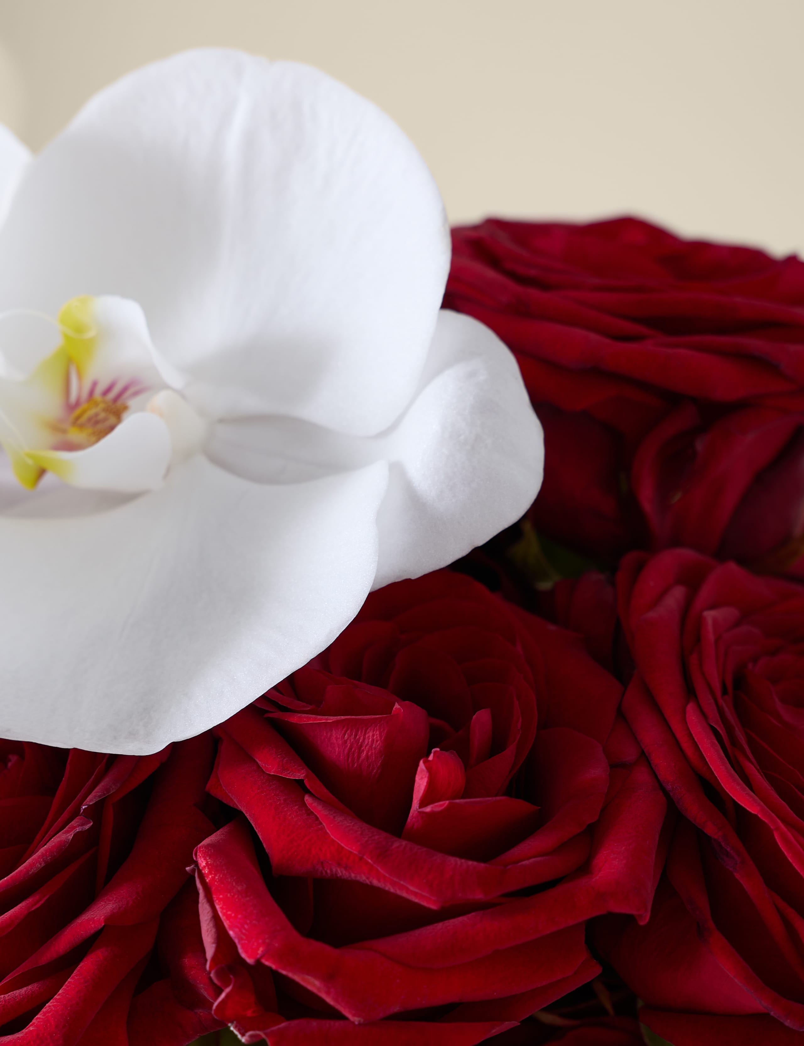 Kelly Hoppen Red Rose & Orchid Bouquet 4 of 8