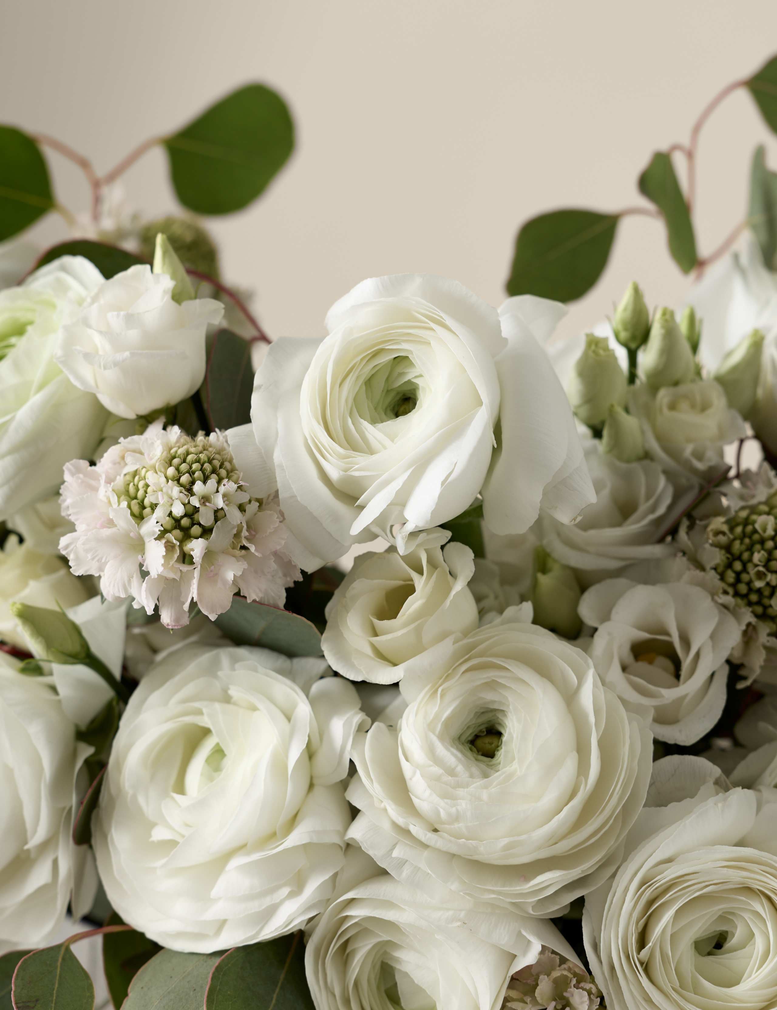 Ranunculus Bouquet 4 of 8