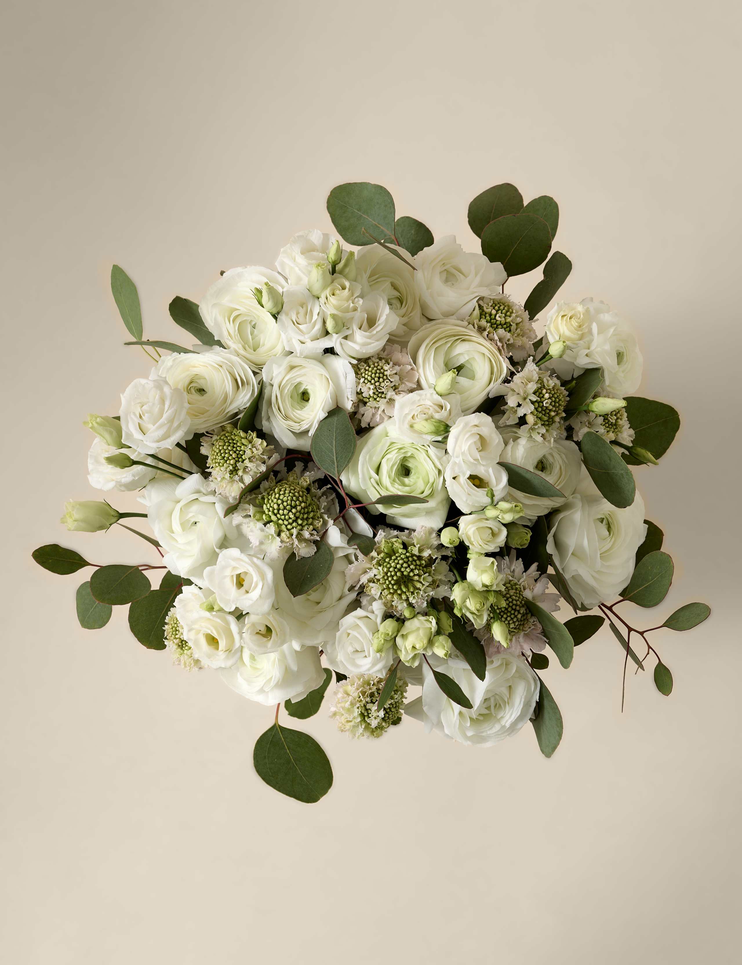 Kelly Hoppen Ranunculus Bouquet 2 of 8