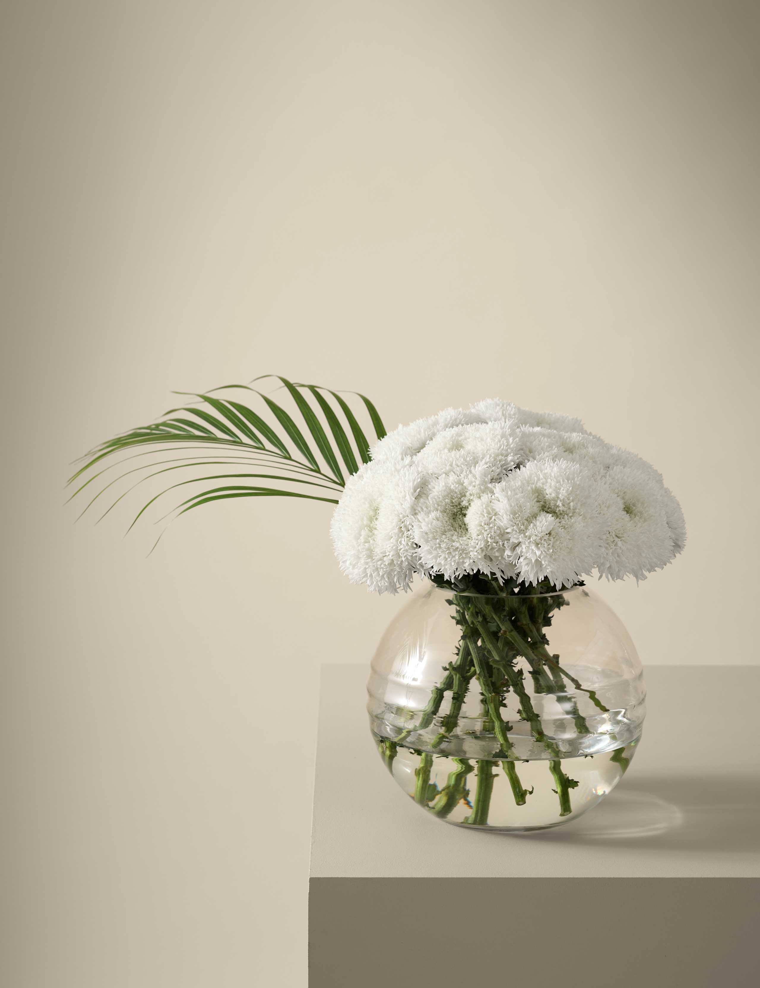 Kelly Hoppen Chrysanthemum Bouquet with Vase 1 of 8