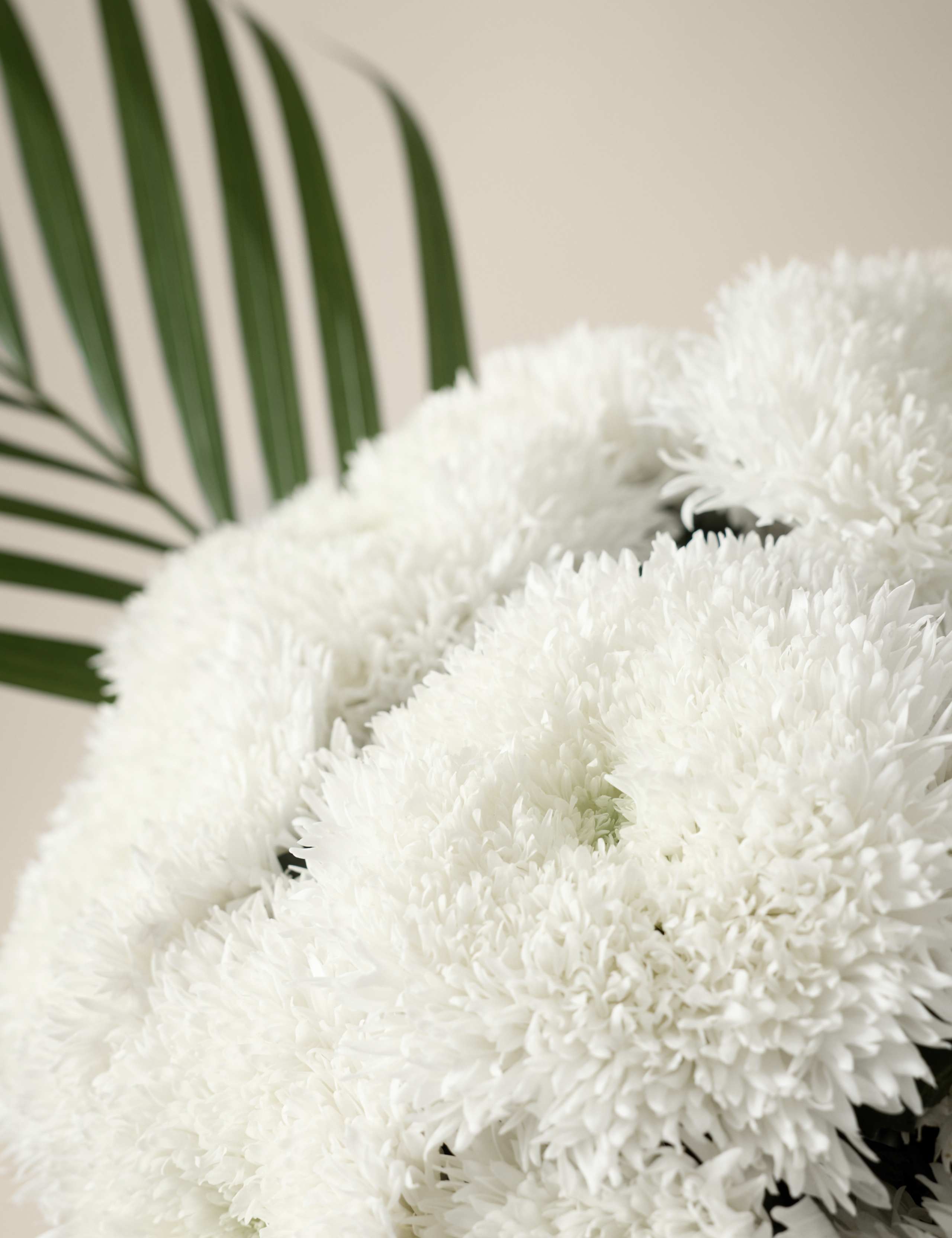 Kelly Hoppen Chrysanthemum Bouquet with Vase 4 of 8