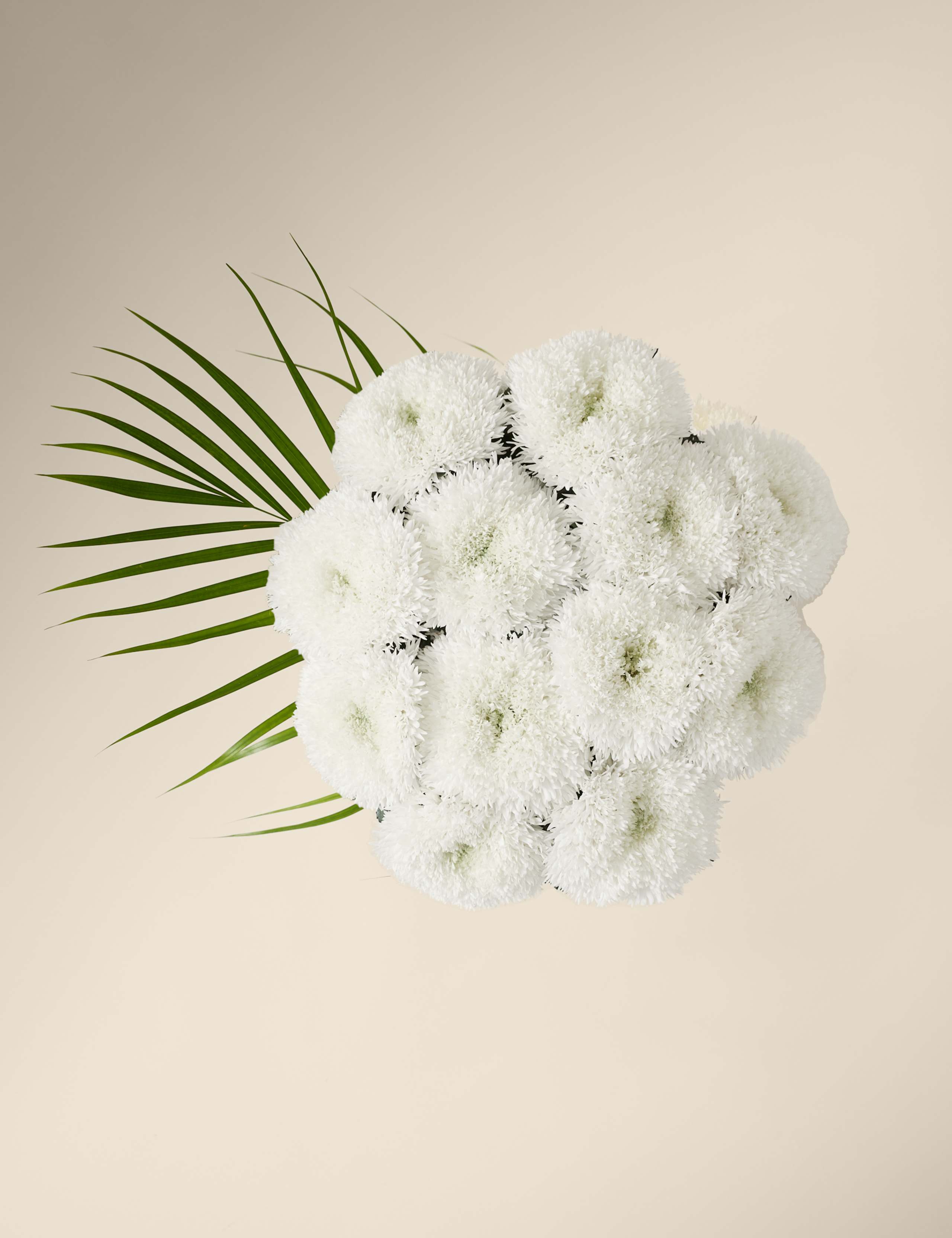 Chrysanthemum Bouquet with Vase 2 of 8