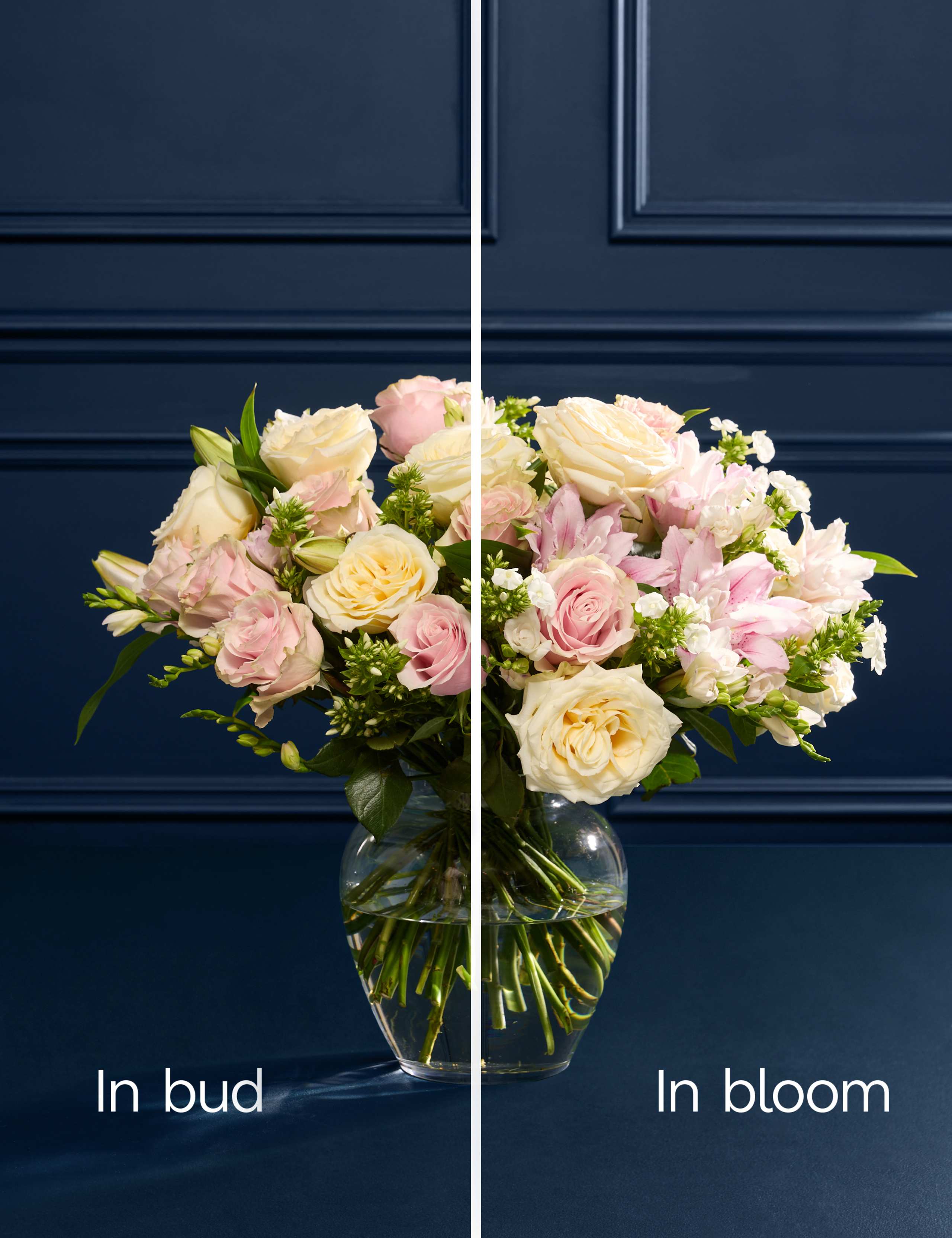 Katherine Jenkins Classical Bouquet 6 of 10