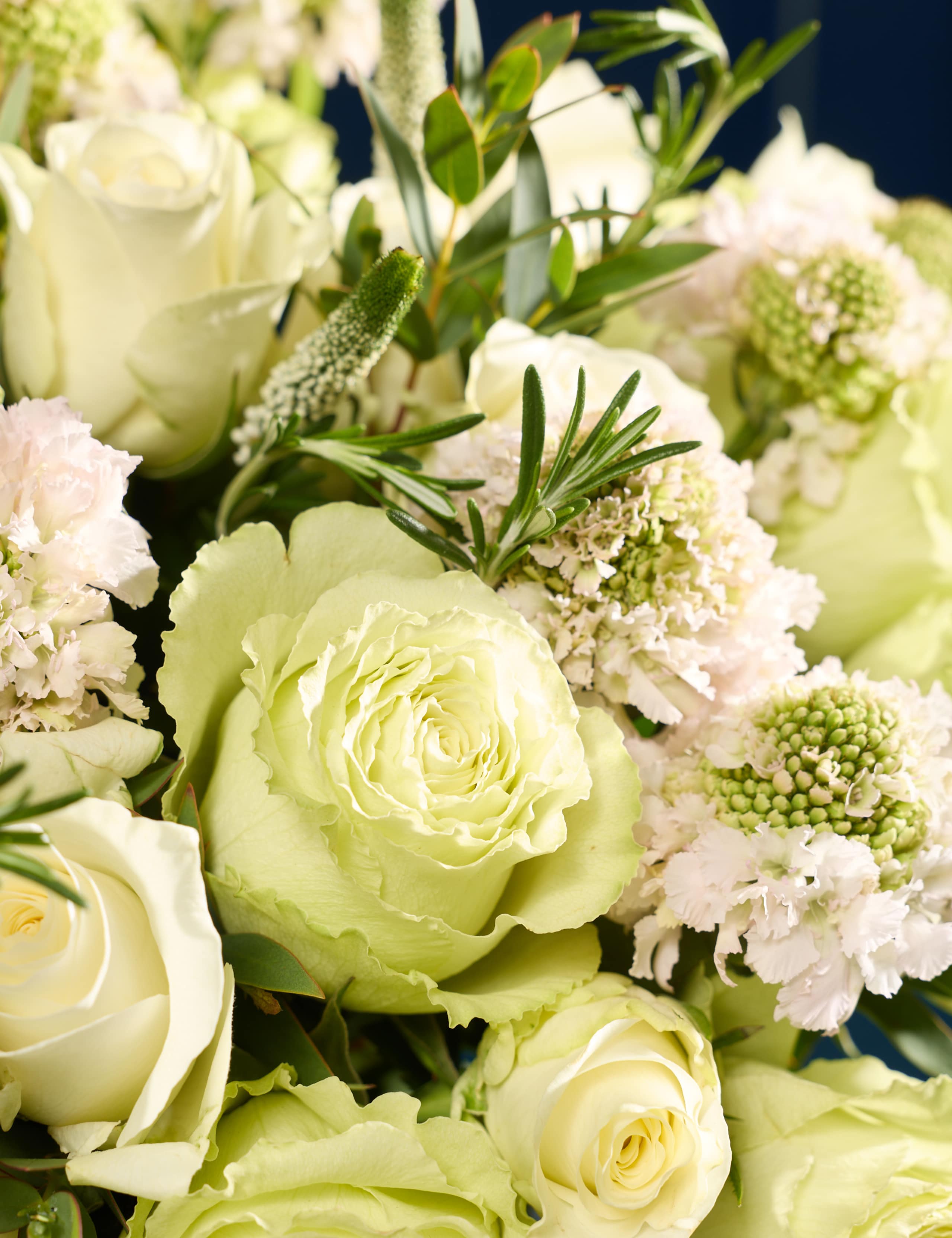 Serenade Bouquet 4 of 9