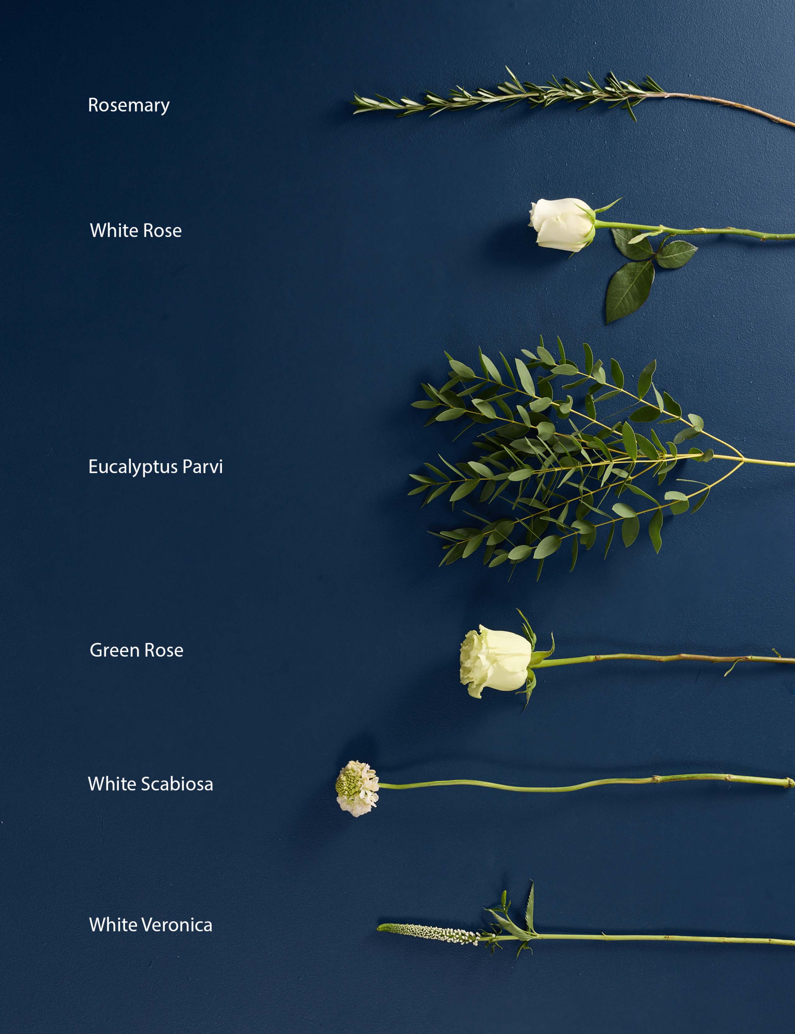 Katherine Jenkins Serenade Bouquet 5 of 9