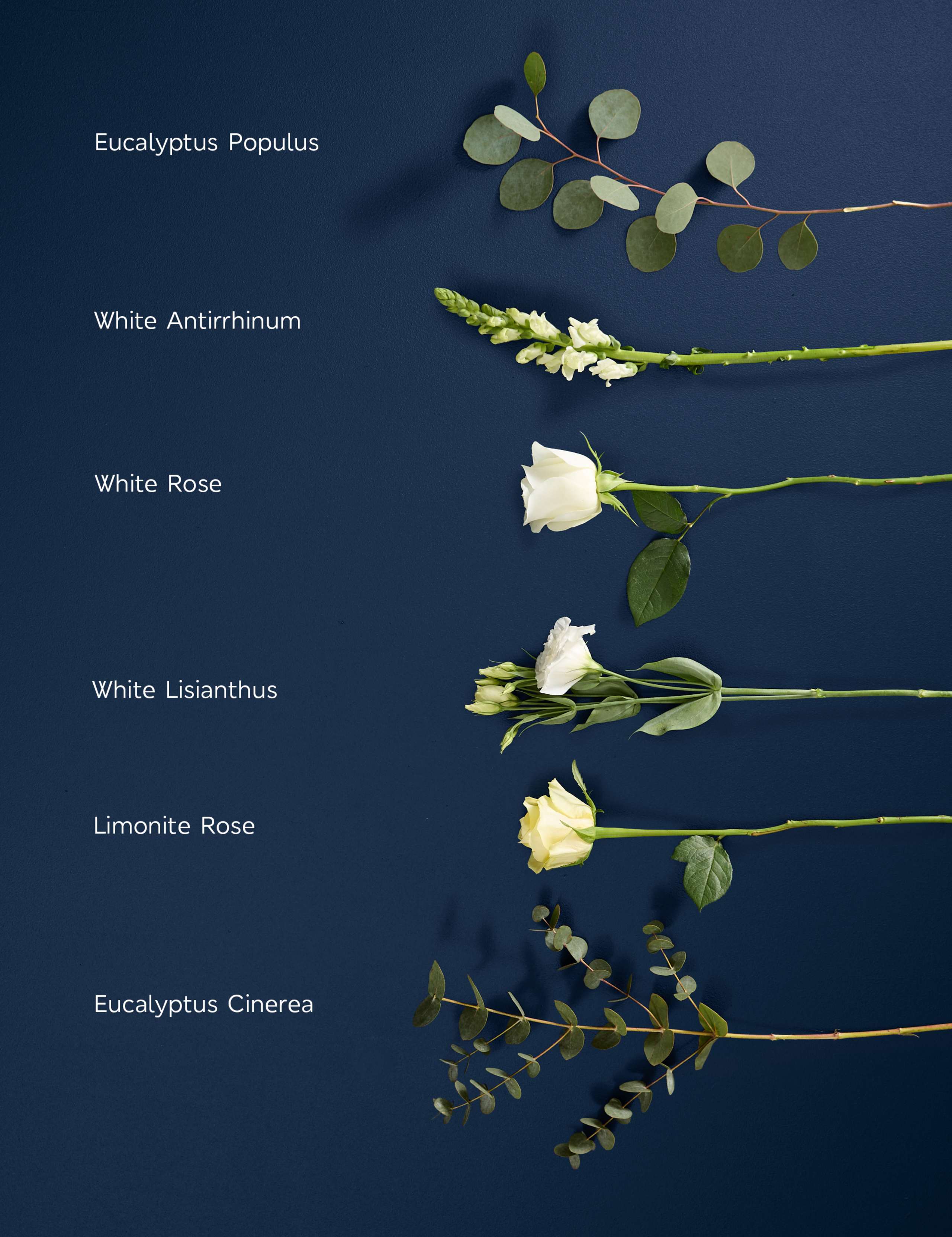 Katherine Jenkins Bright & Beautiful Mother's Day Bouquet 4 of 8