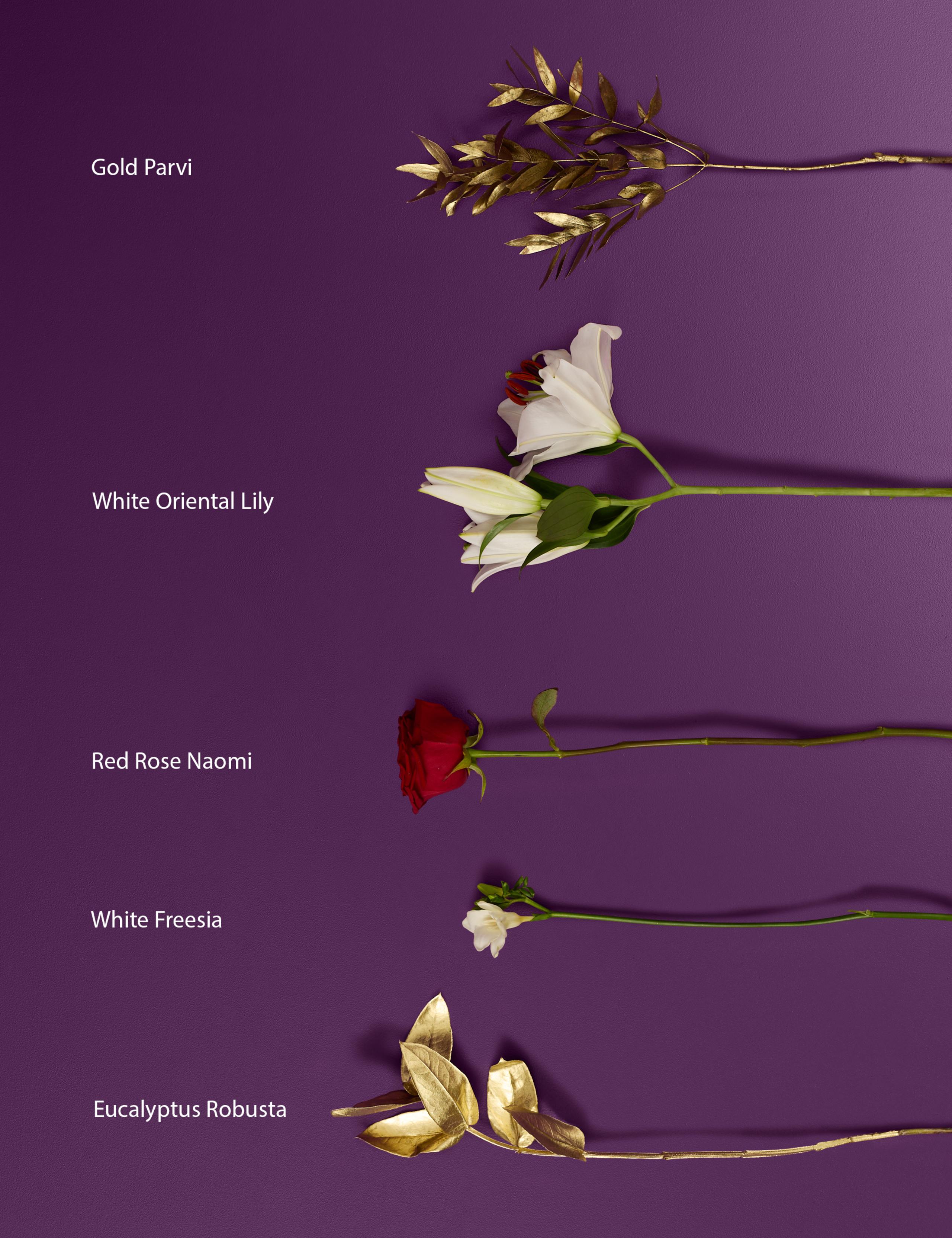 Dame Joan Collins Christmas Bouquet with Vase 5 of 10