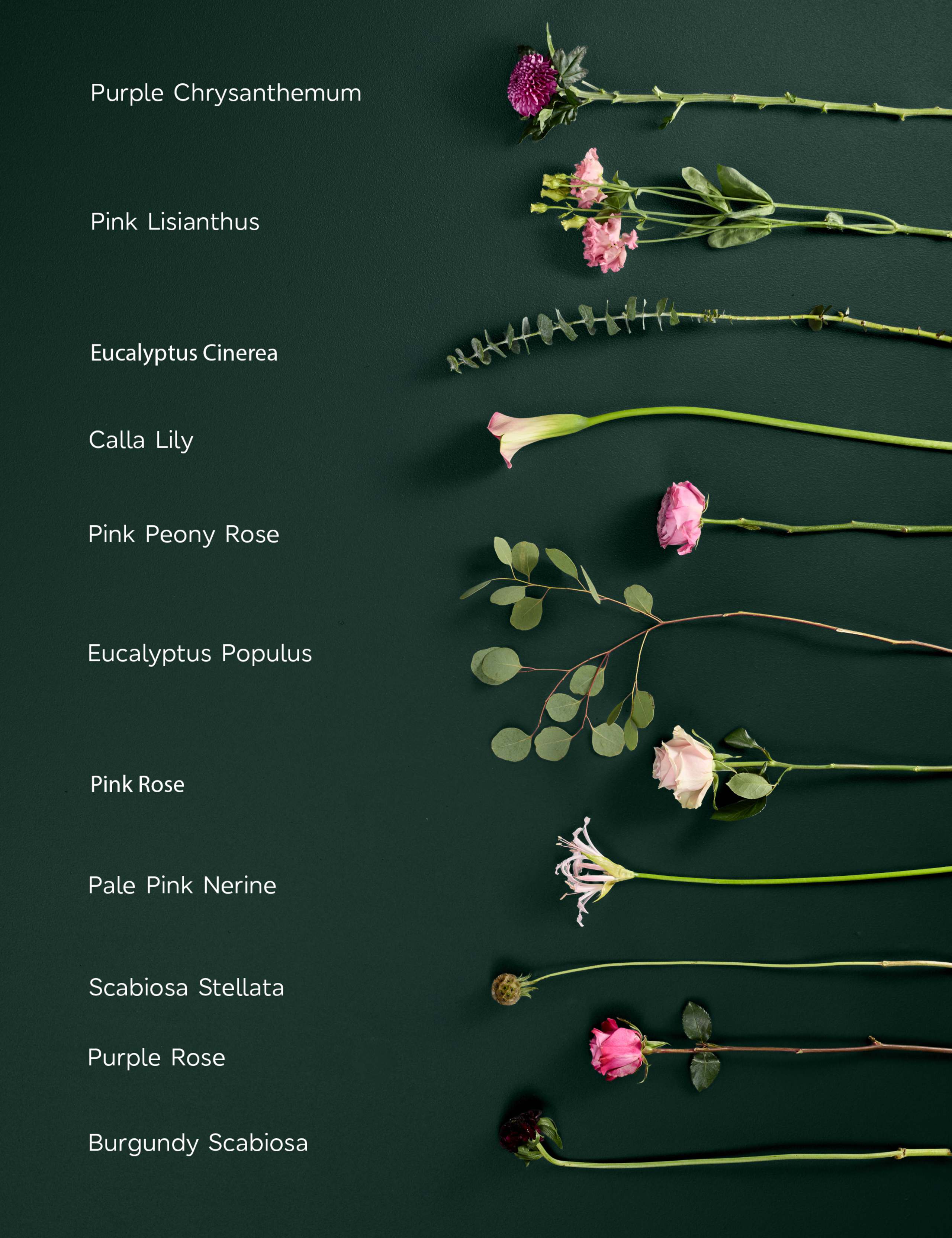 Luxury Peony Rose & Nerine Bouquet 5 of 10