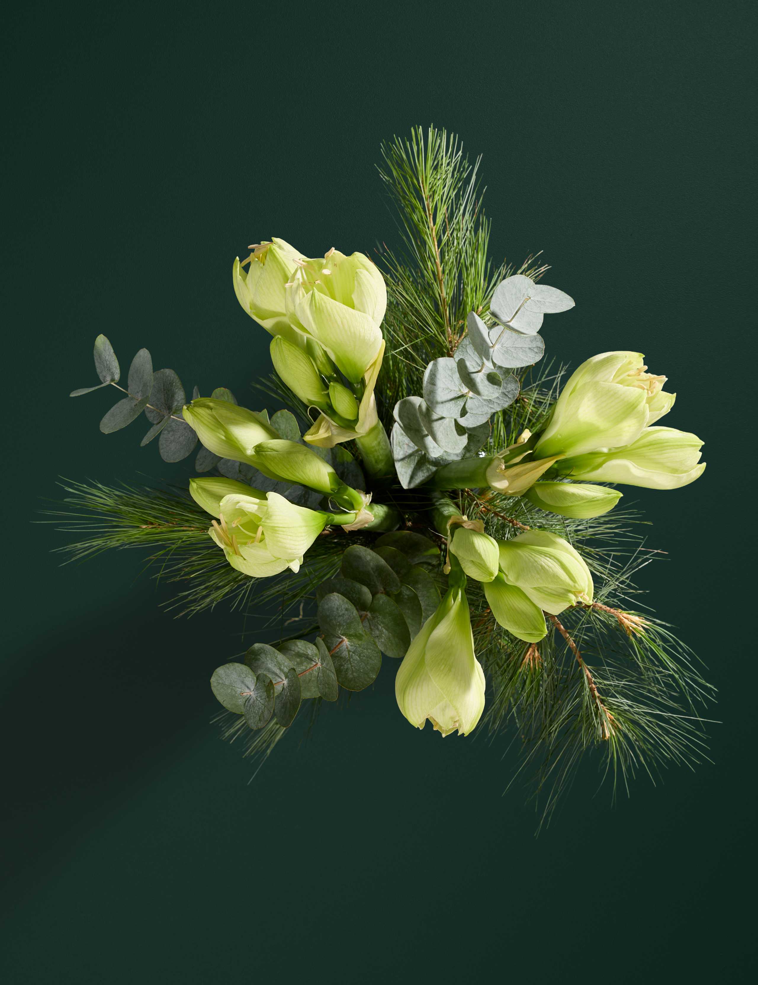 White Amaryllis Bouquet 2 of 6