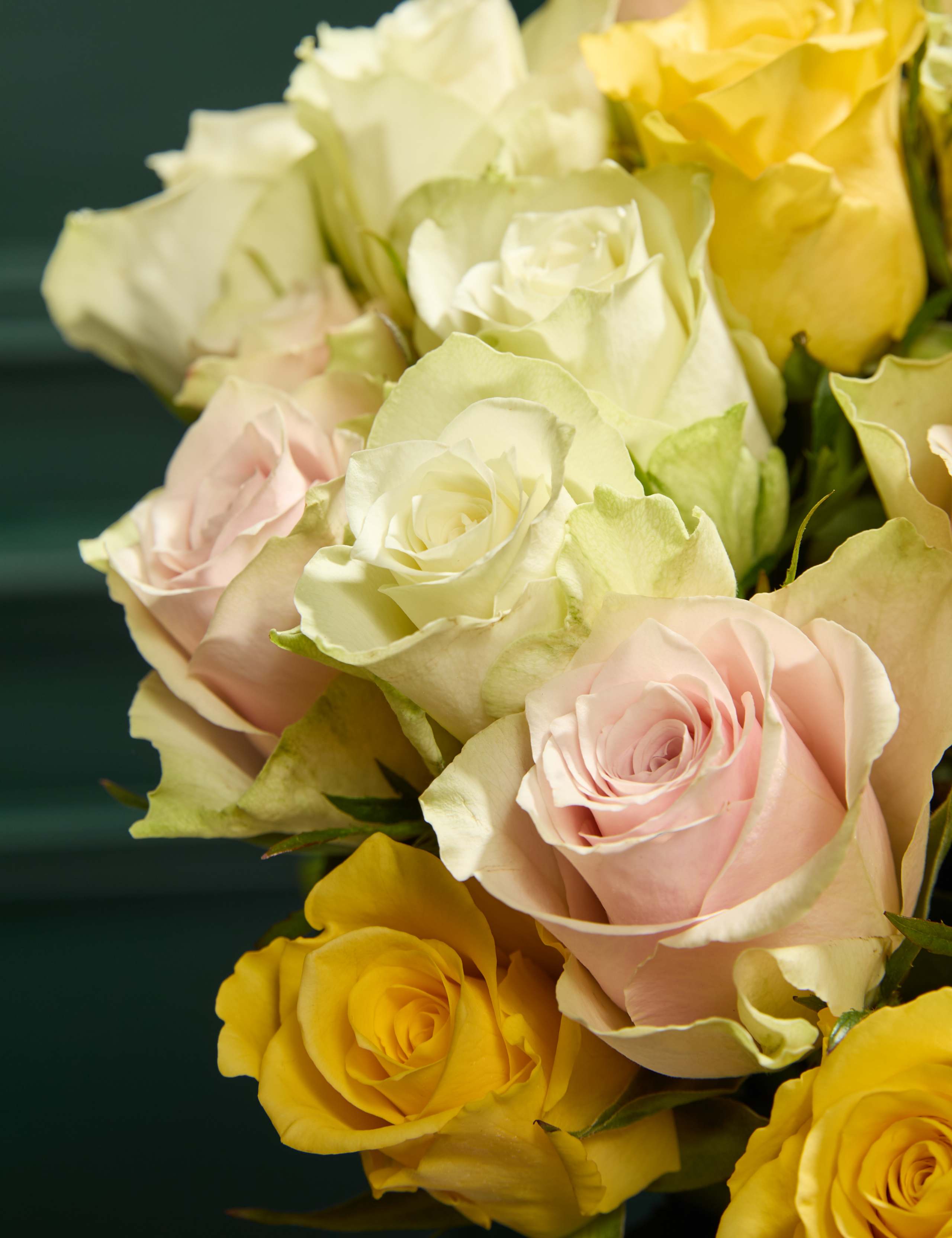 Yellow & Pink Rose Abundance Bouquet with Vase 3 of 7