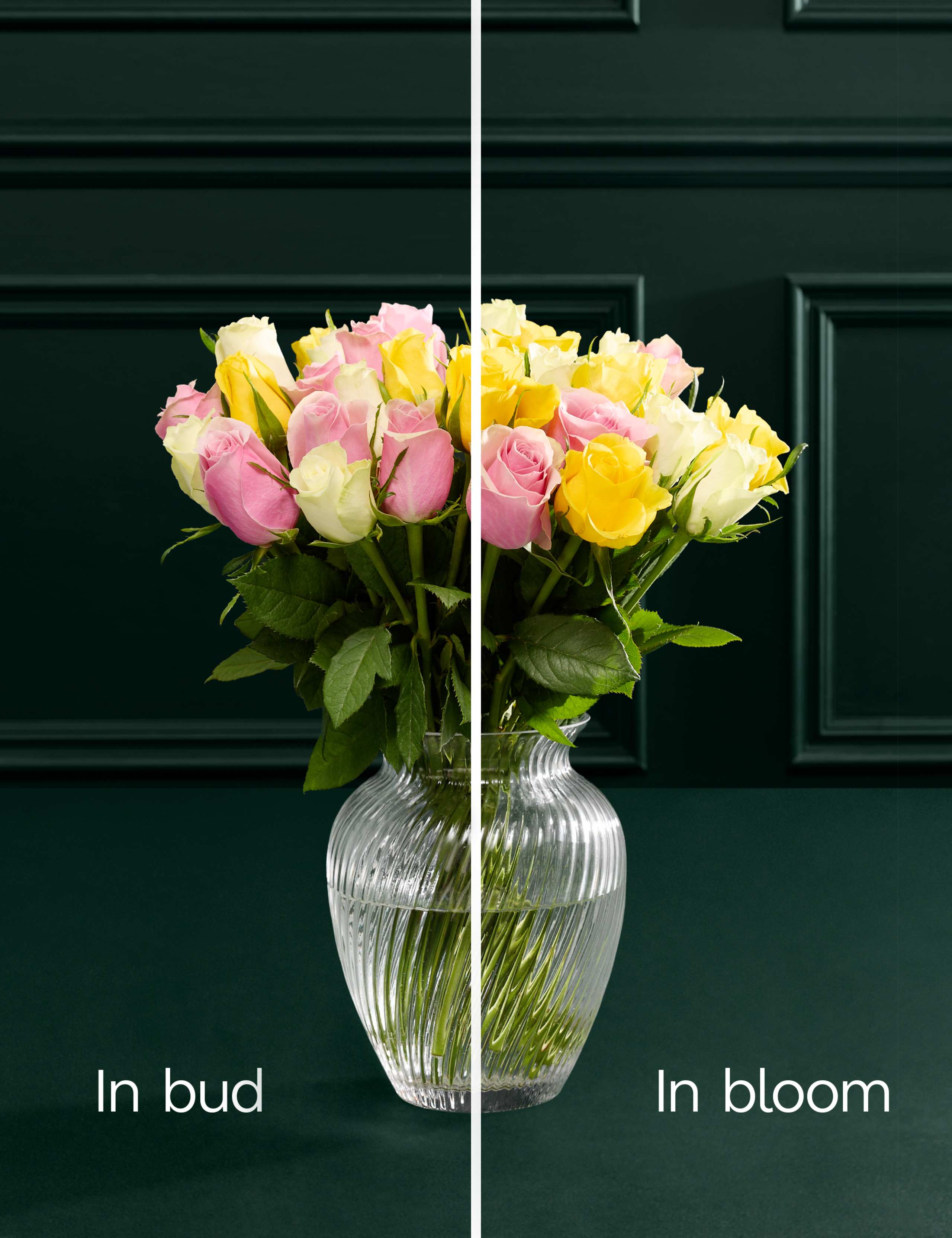 Yellow & Pink Rose Abundance Bouquet with Vase 5 of 7