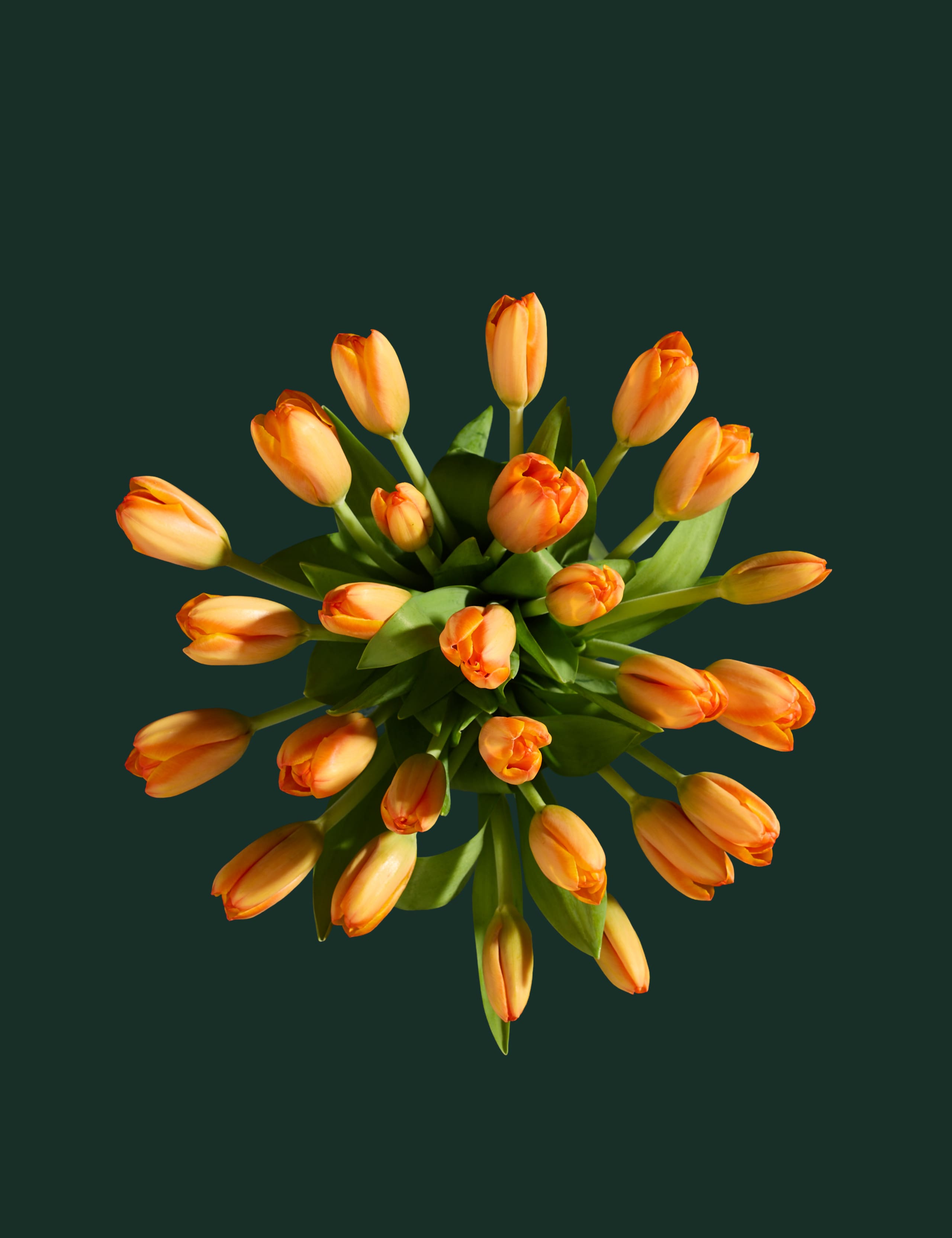 Orange Tulip Abundance Bouquet 2 of 5