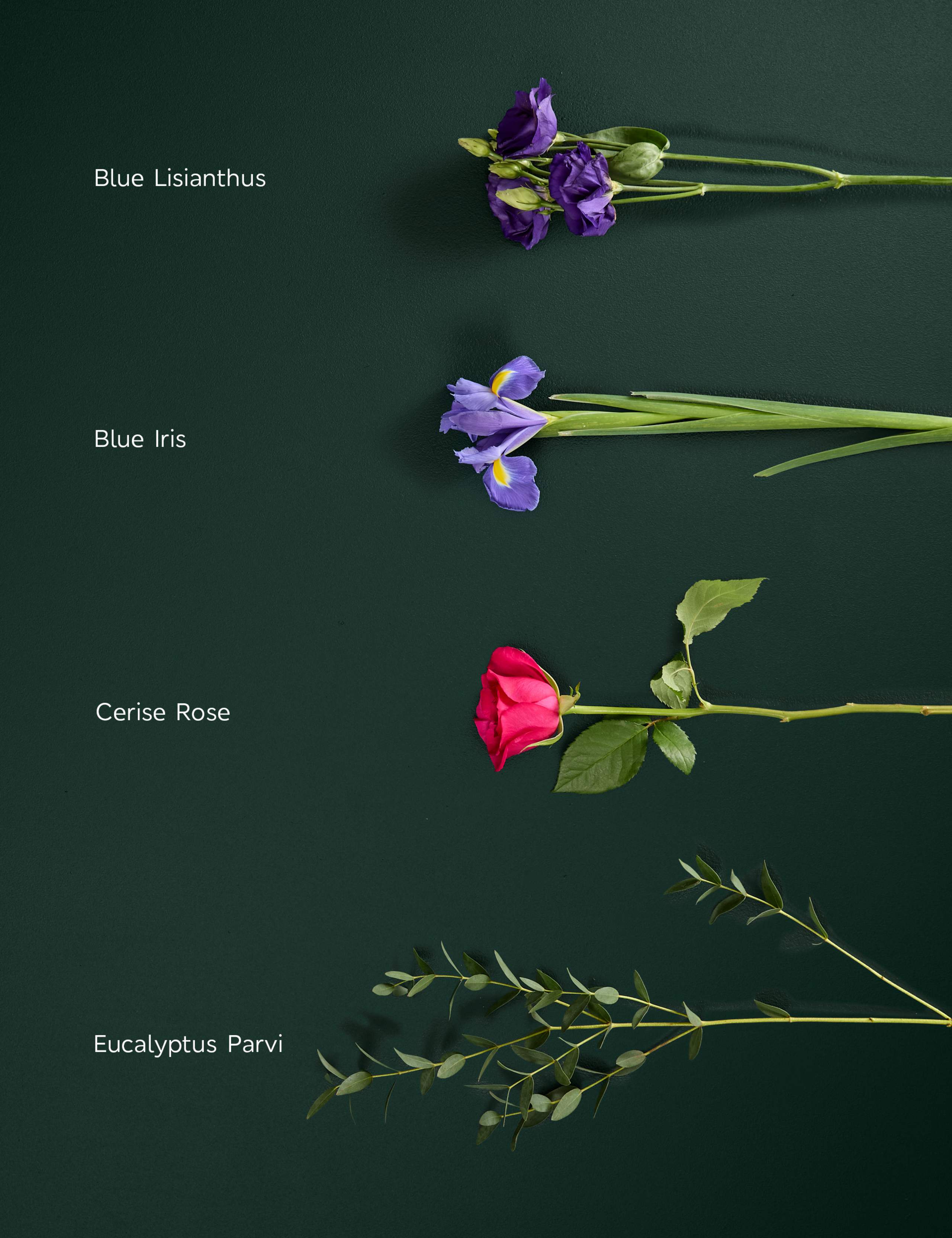Cerise Rose & Lisianthus Bouquet 4 of 7
