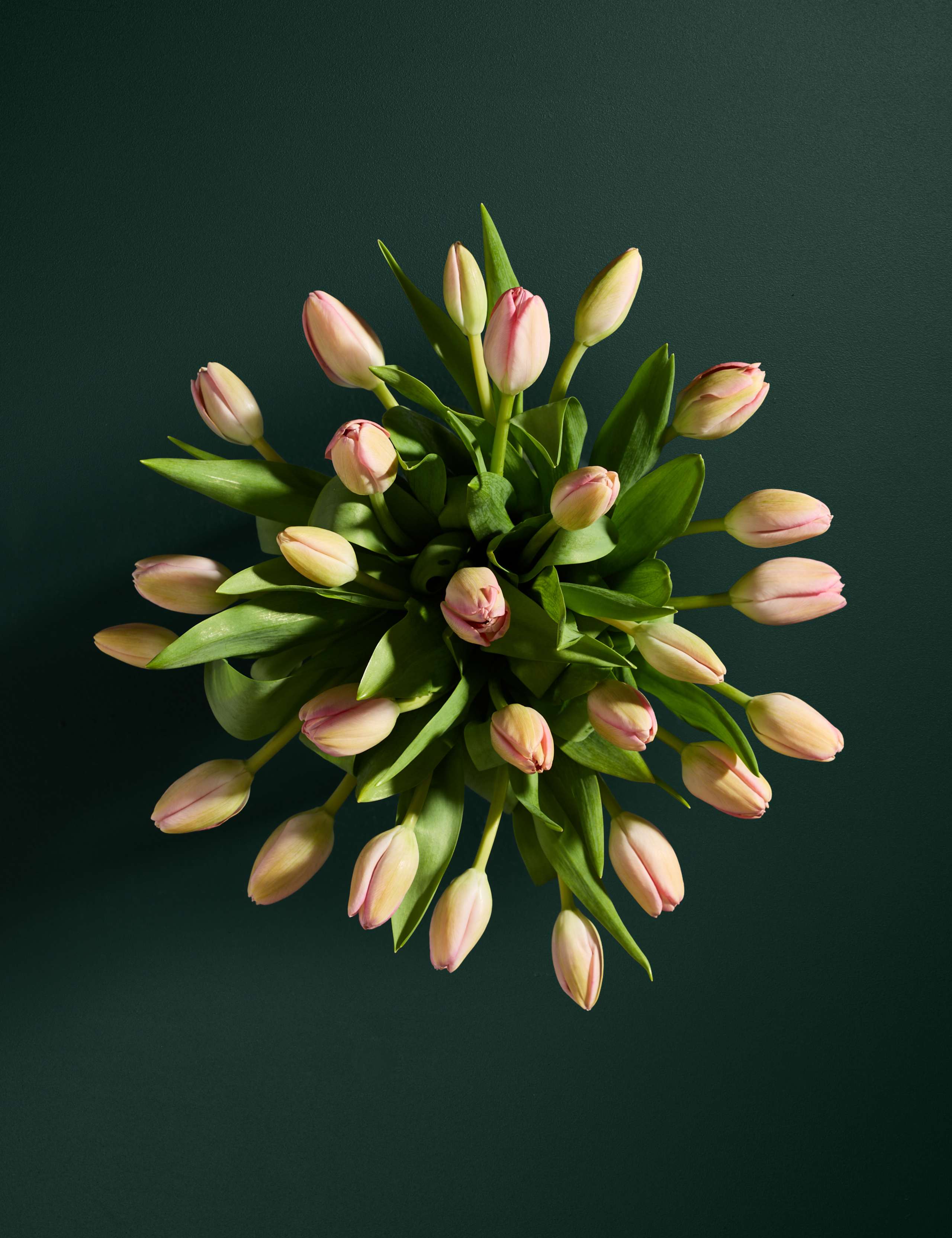 Pink Tulip Abundance Bouquet 2 of 5