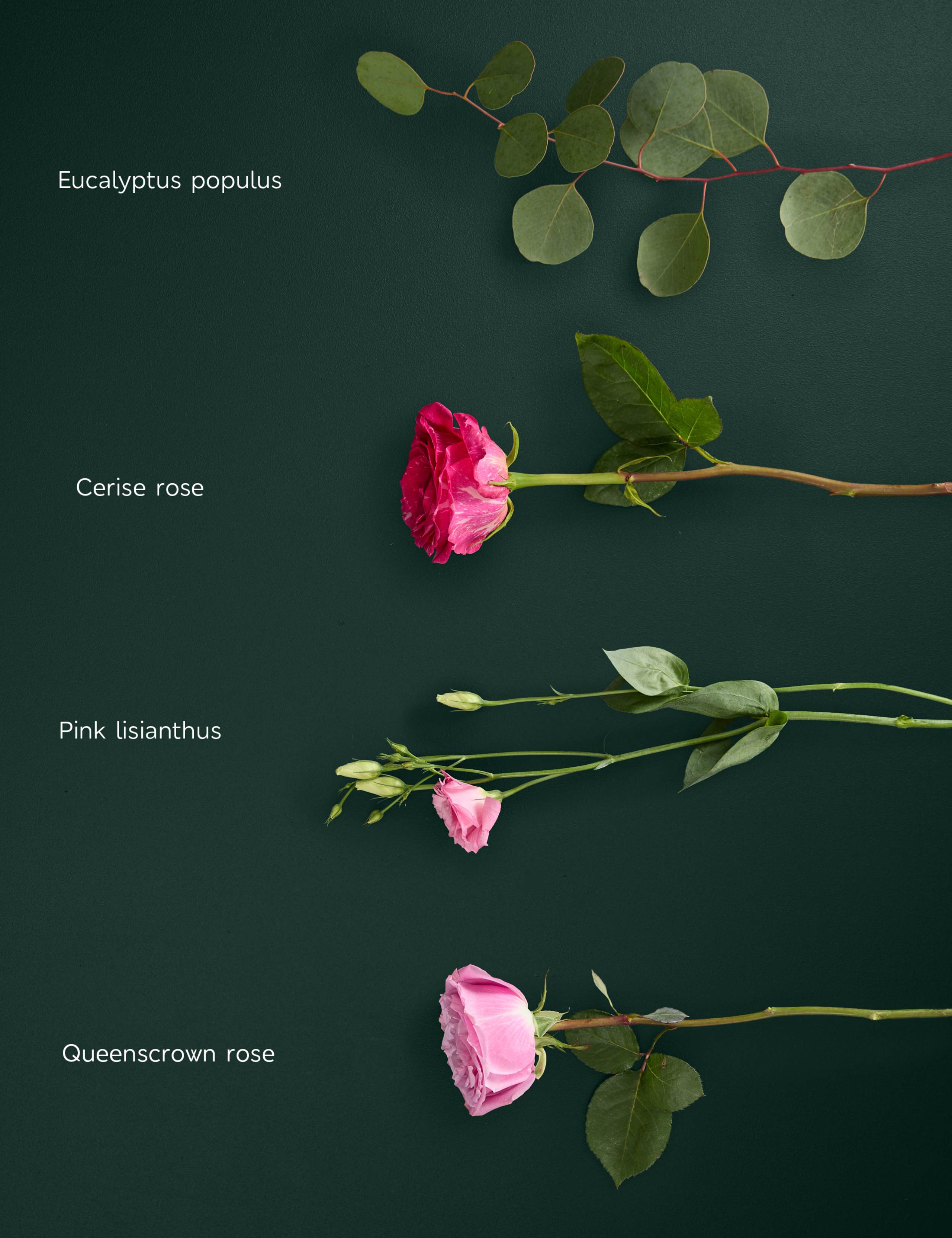 Valentine's Queenscrown Rose Bouquet 4 of 8