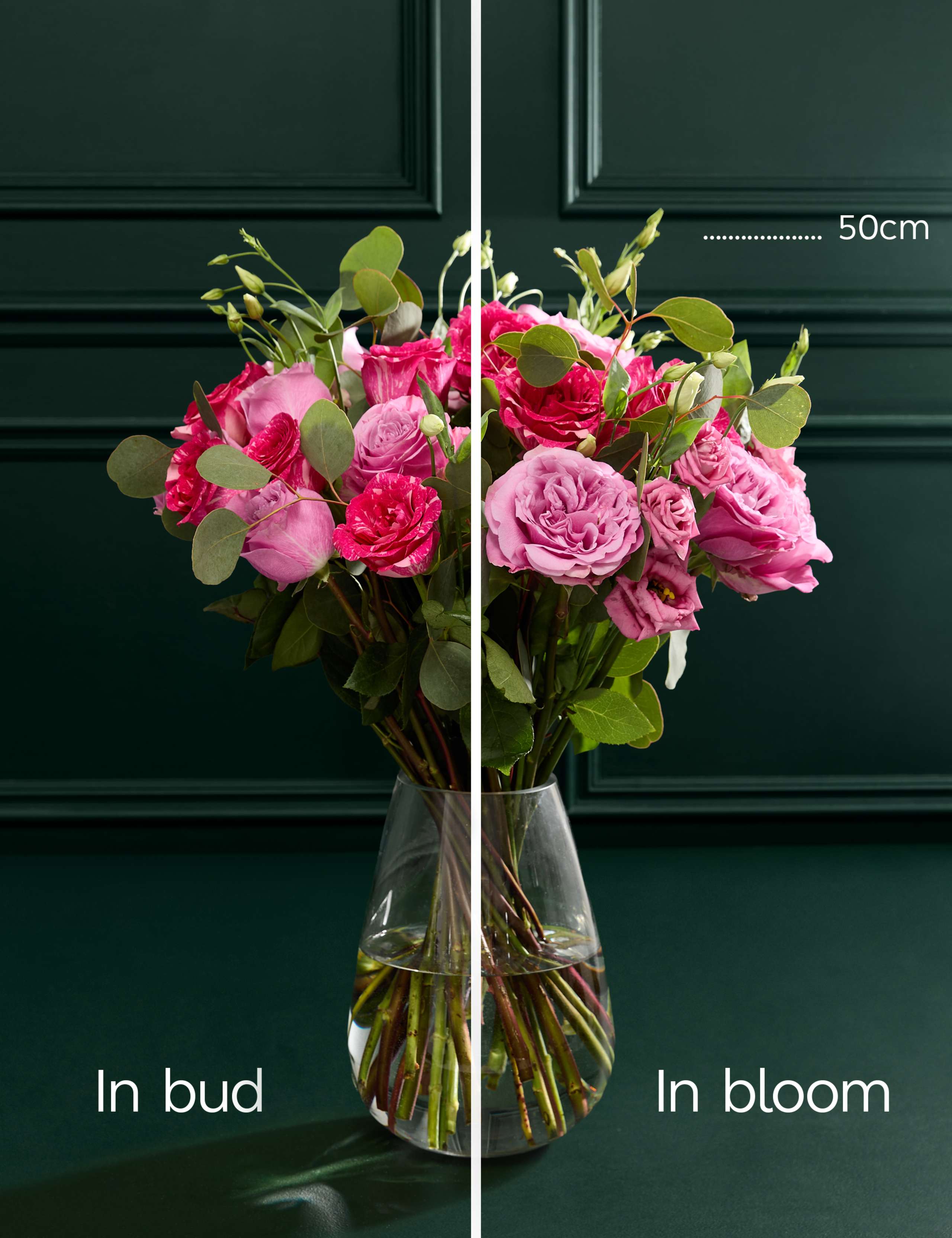 Valentine's Queenscrown Rose Bouquet 5 of 8