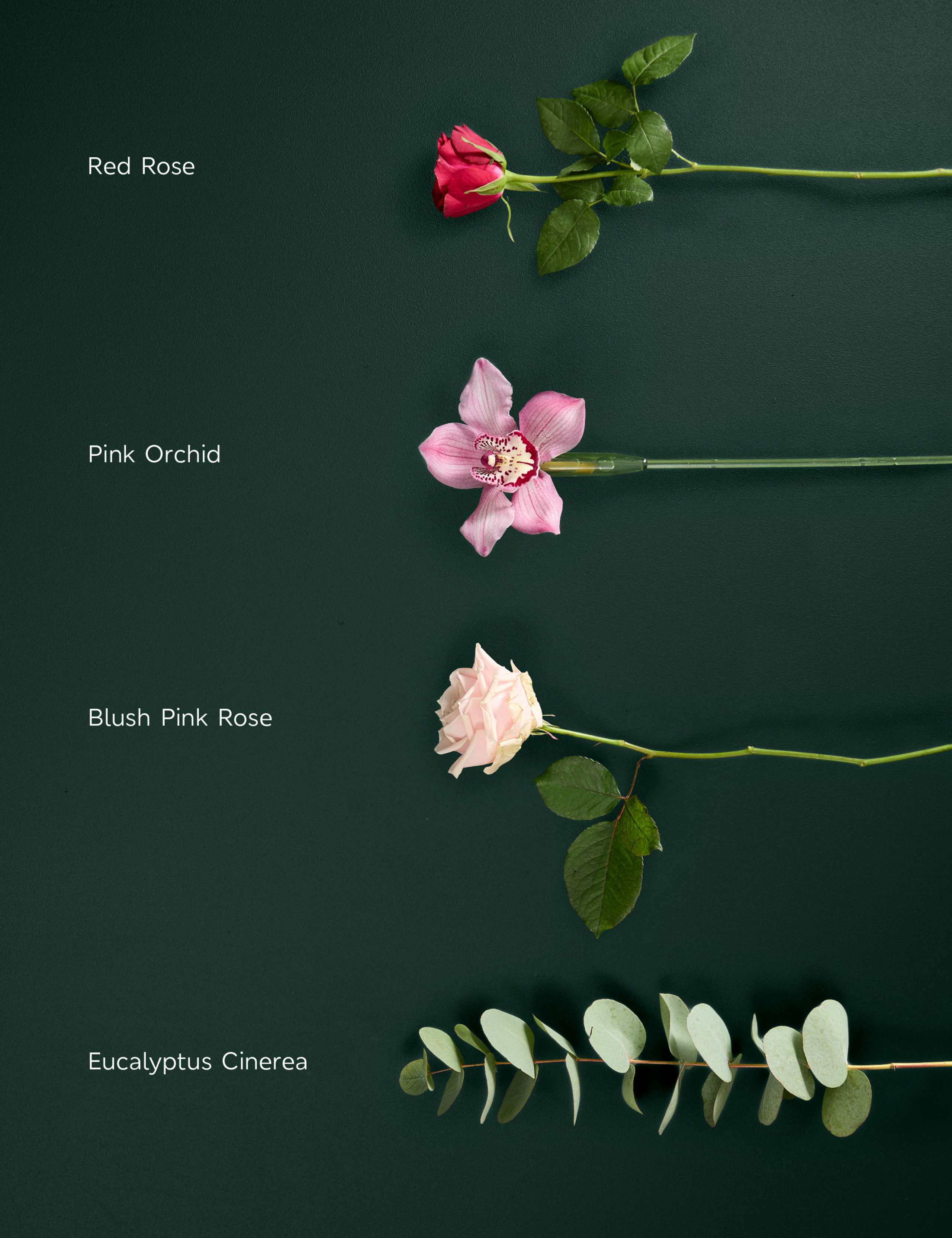 Valentine's Mixed Rose & Orchid Bouquet 4 of 8