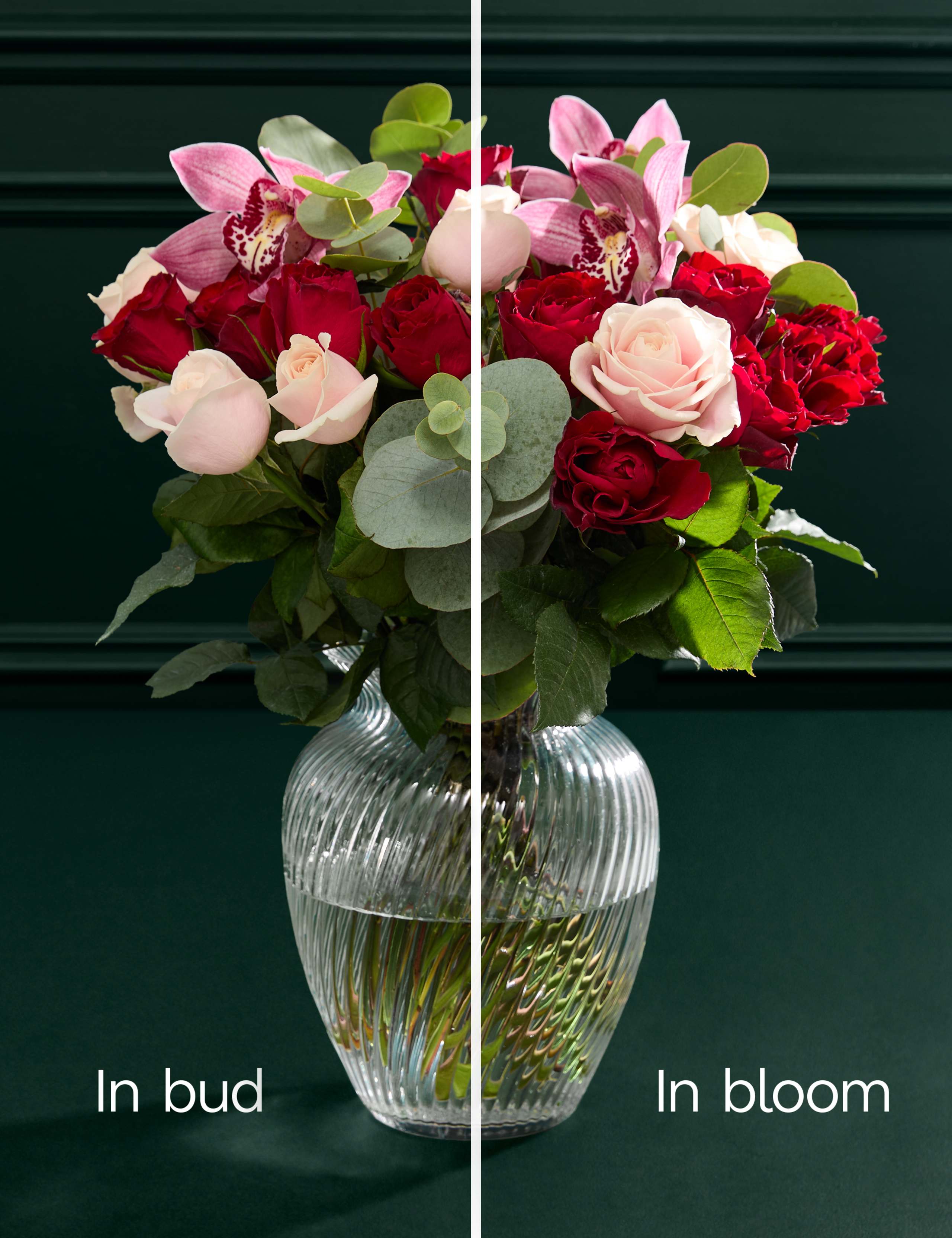 Valentine's Mixed Rose & Orchid Bouquet 5 of 8