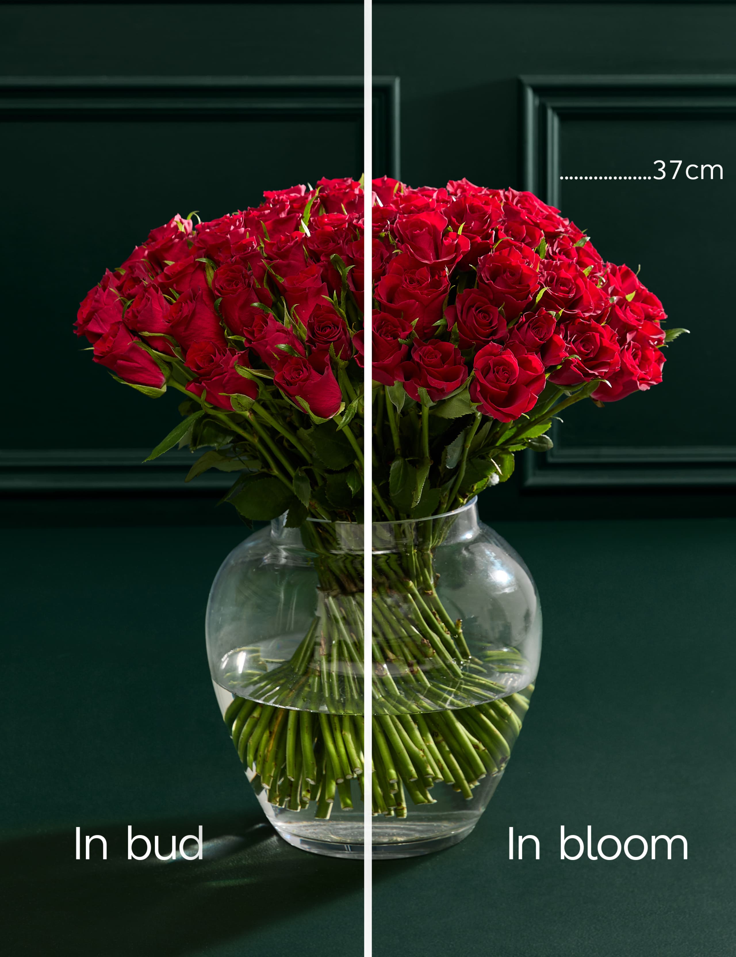 Valentine's 100 Romantic Red Roses Bouquet 4 of 7