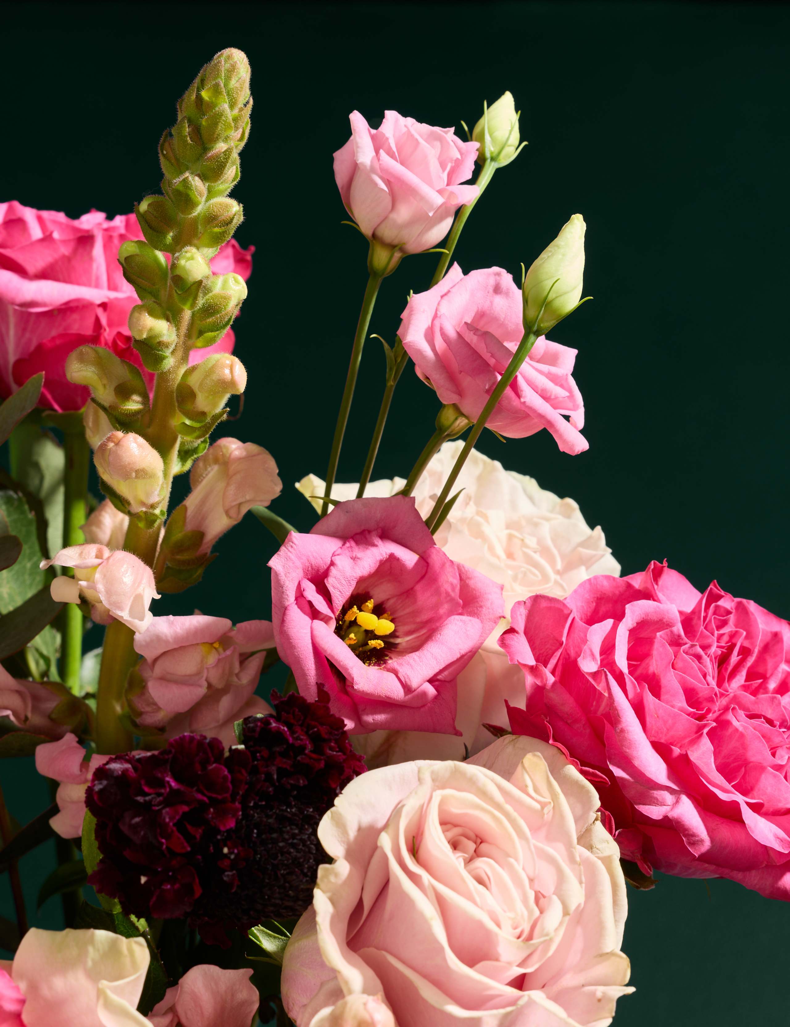 Pink Rose & Scabiosa Bouquet 3 of 5