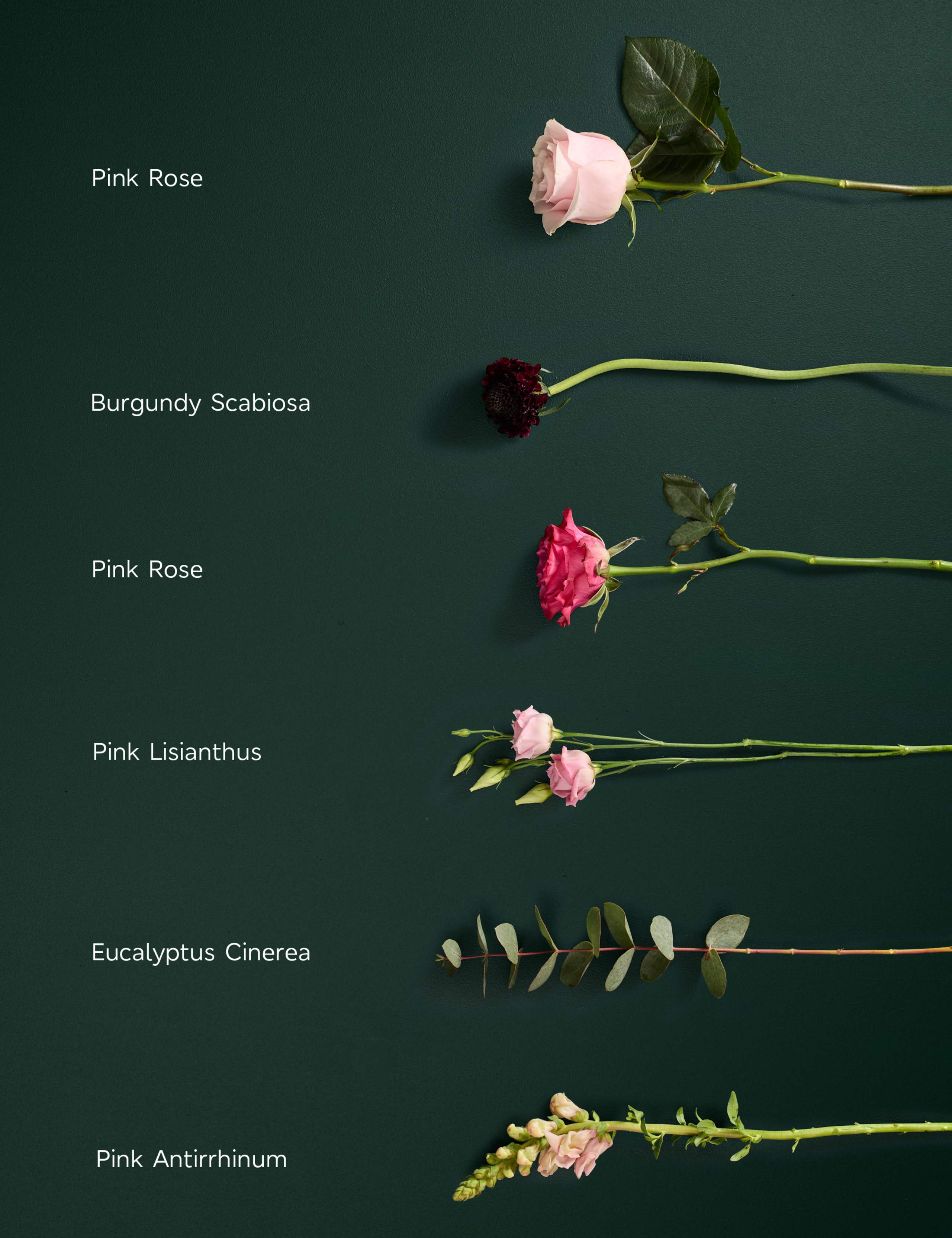 Pink Rose & Scabiosa Bouquet 4 of 5