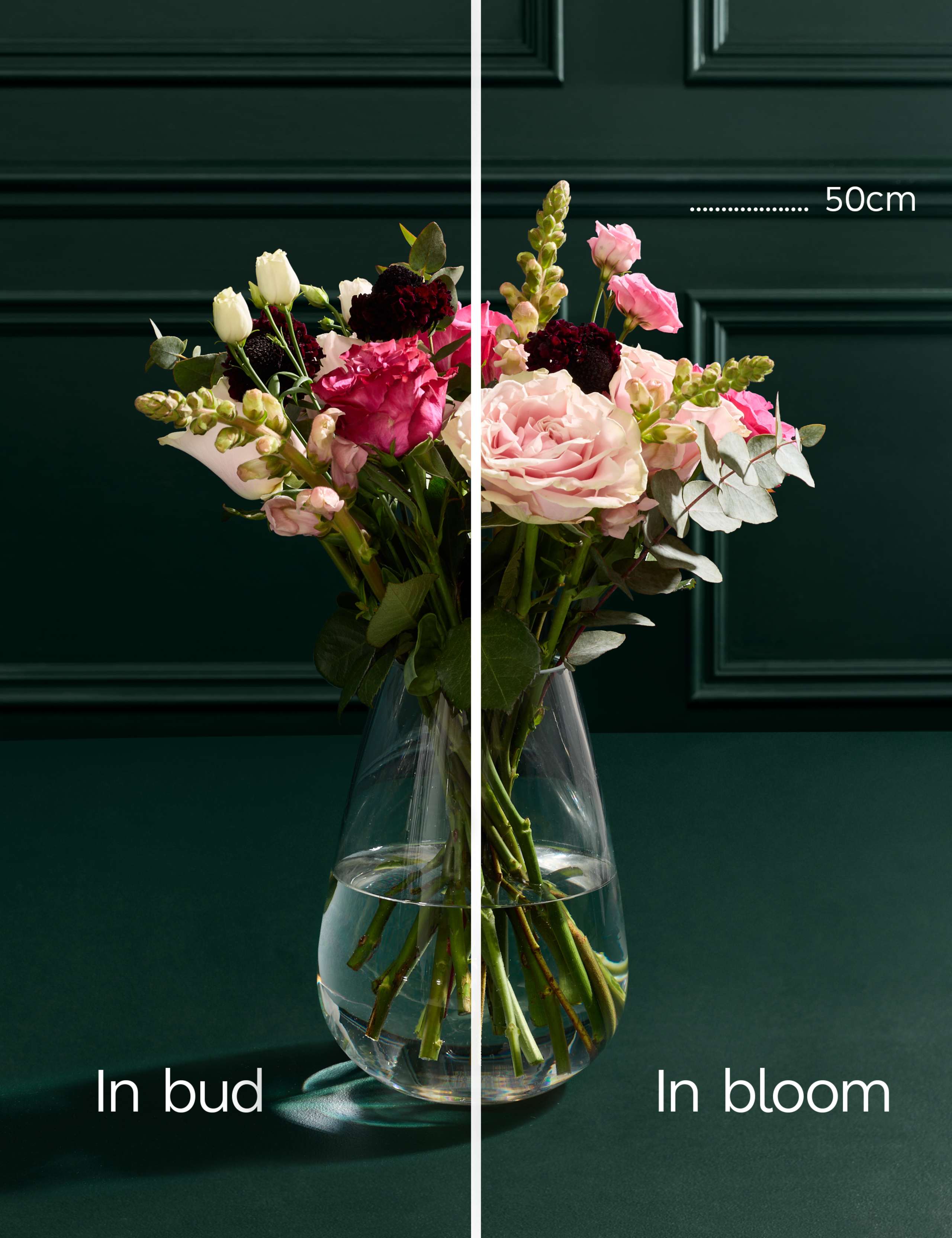 Pink Rose & Scabiosa Bouquet 5 of 5