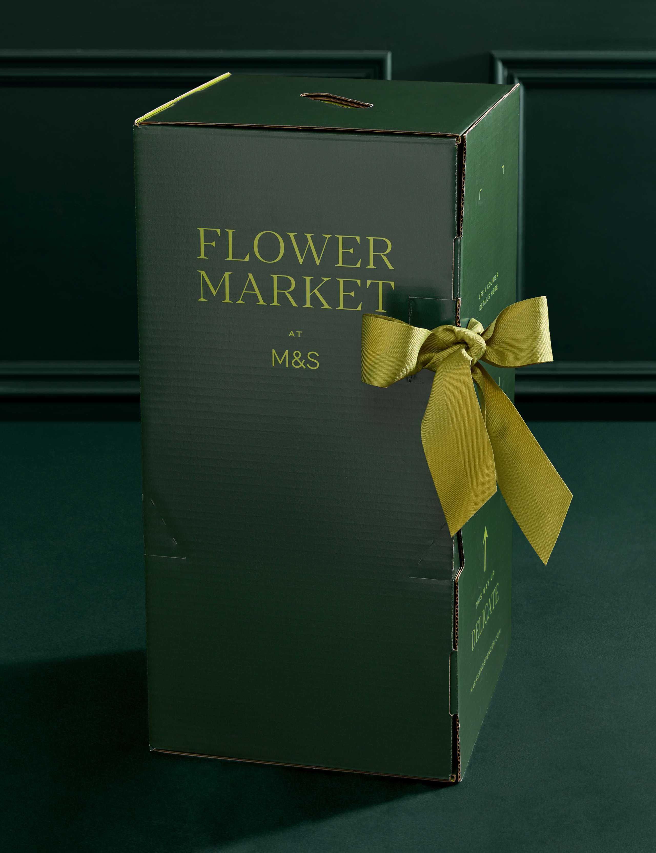 Cymbidium Orchid in Ceramic Pot 4 of 5