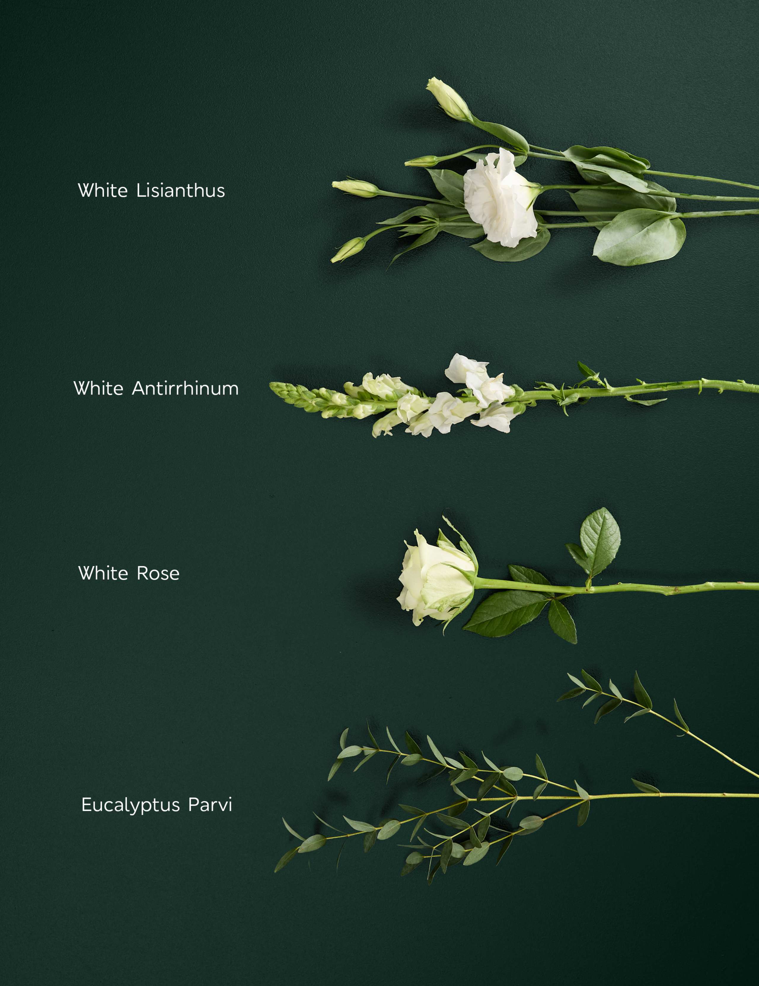 White Rose & Lisianthus Bouquet 4 of 7