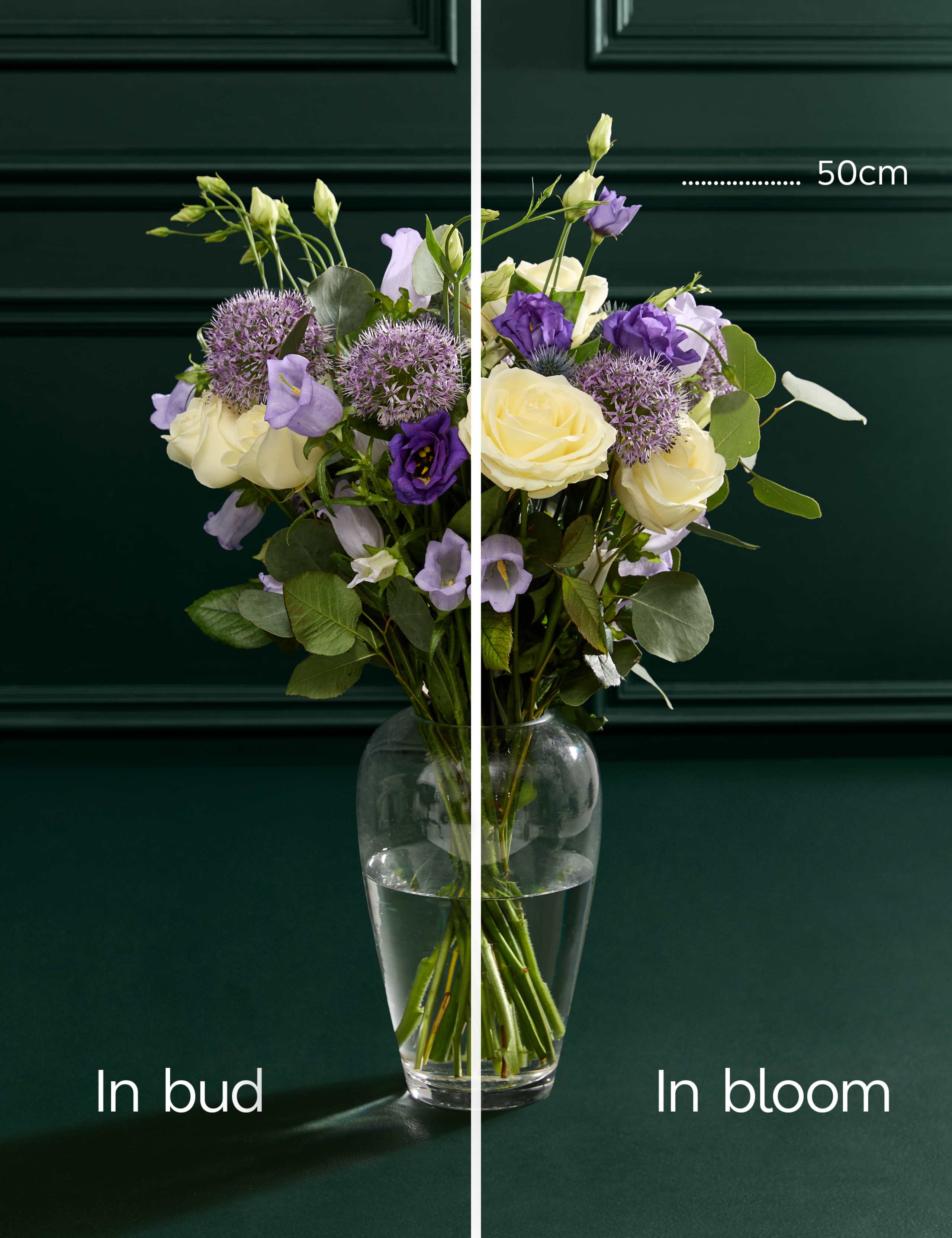 Allium & Campanula Bouquet 5 of 7