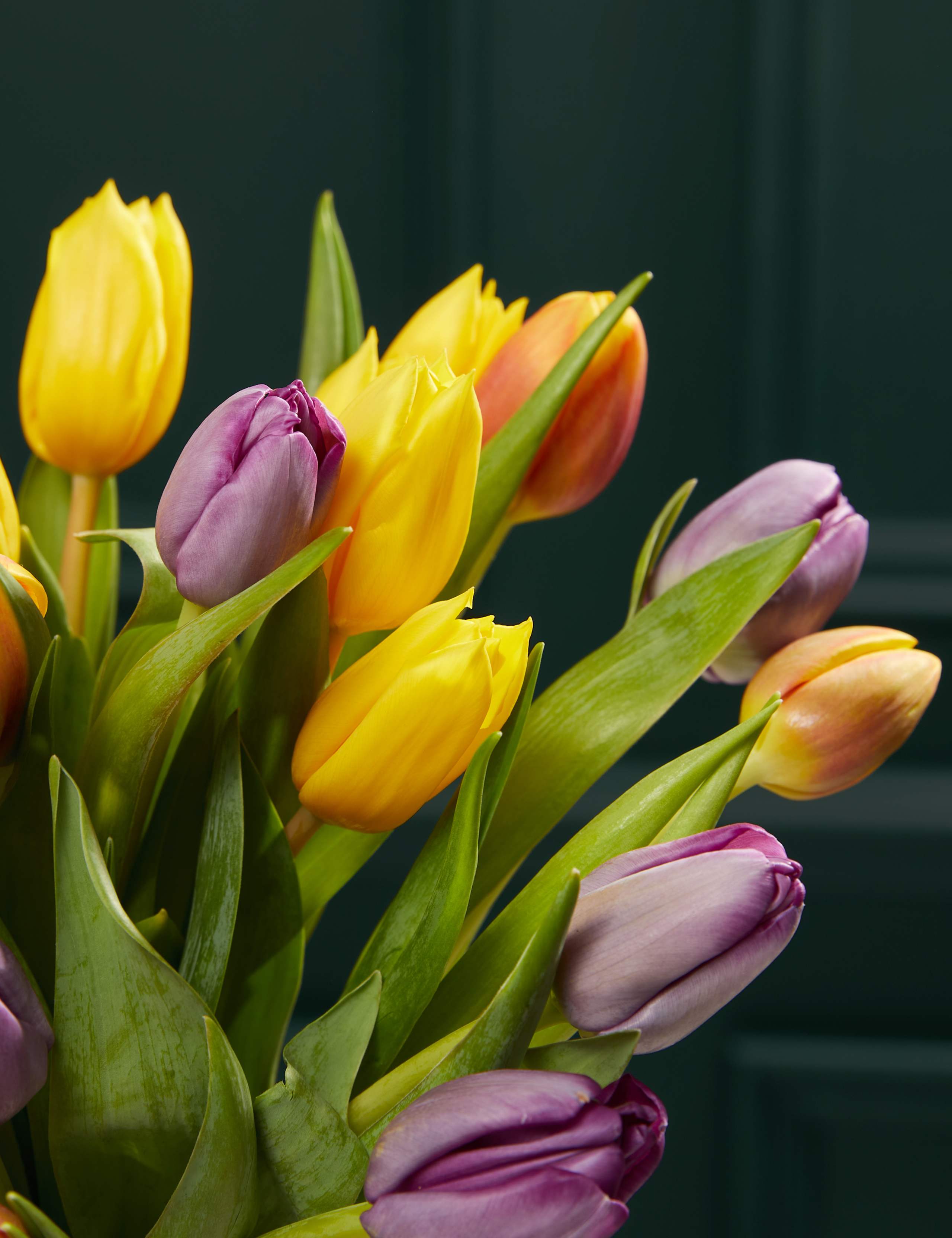 Bright & Beautiful Tulip Bouquet with Champagne 3 of 3