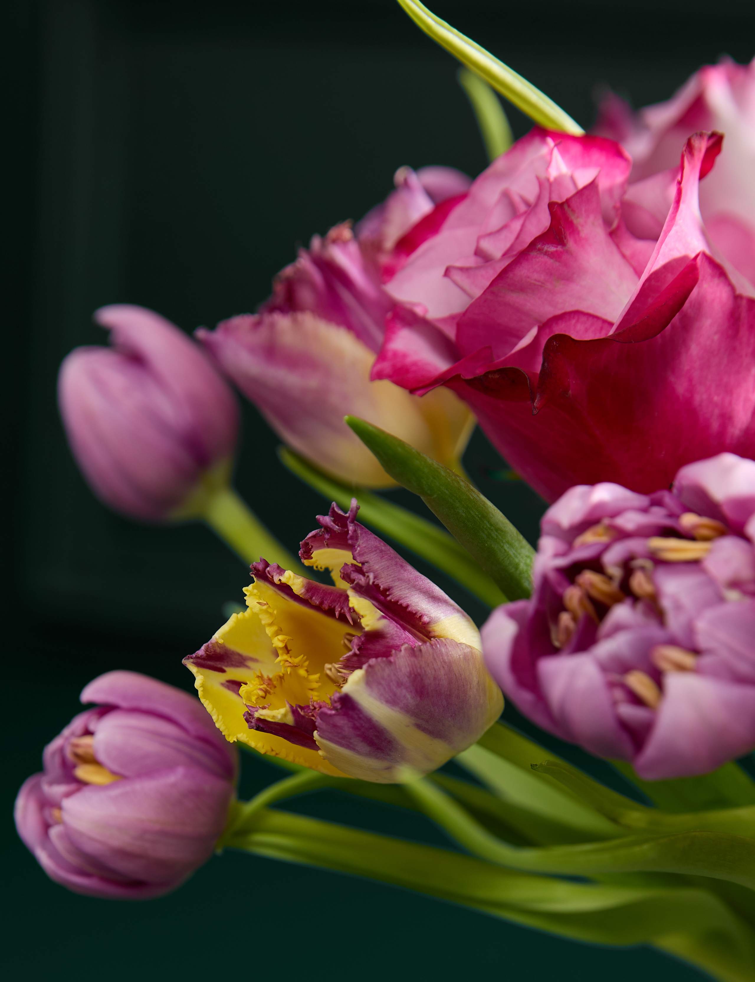 Roses & Speciality Tulip Bouquet 3 of 5