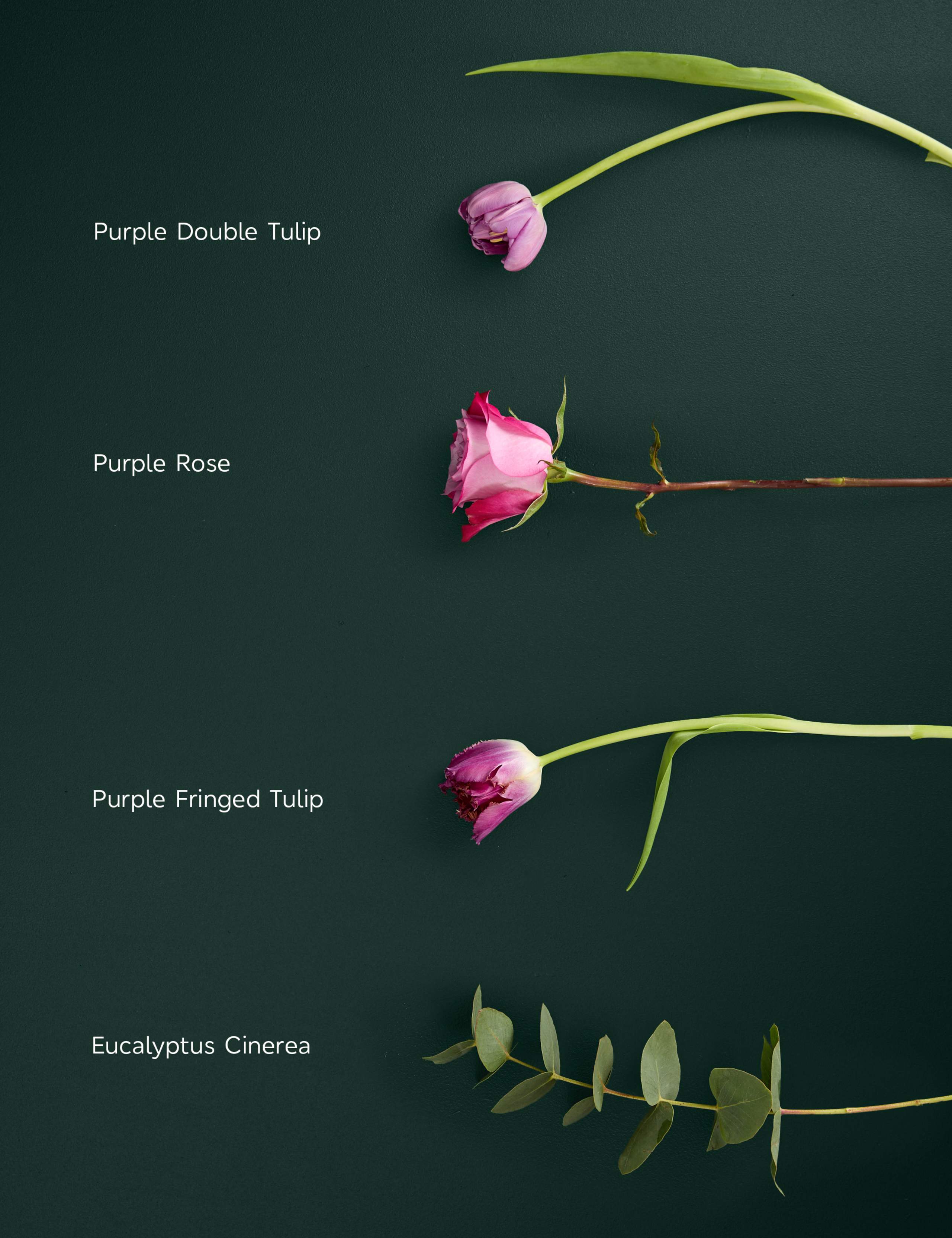 Roses & Speciality Tulip Bouquet 4 of 5