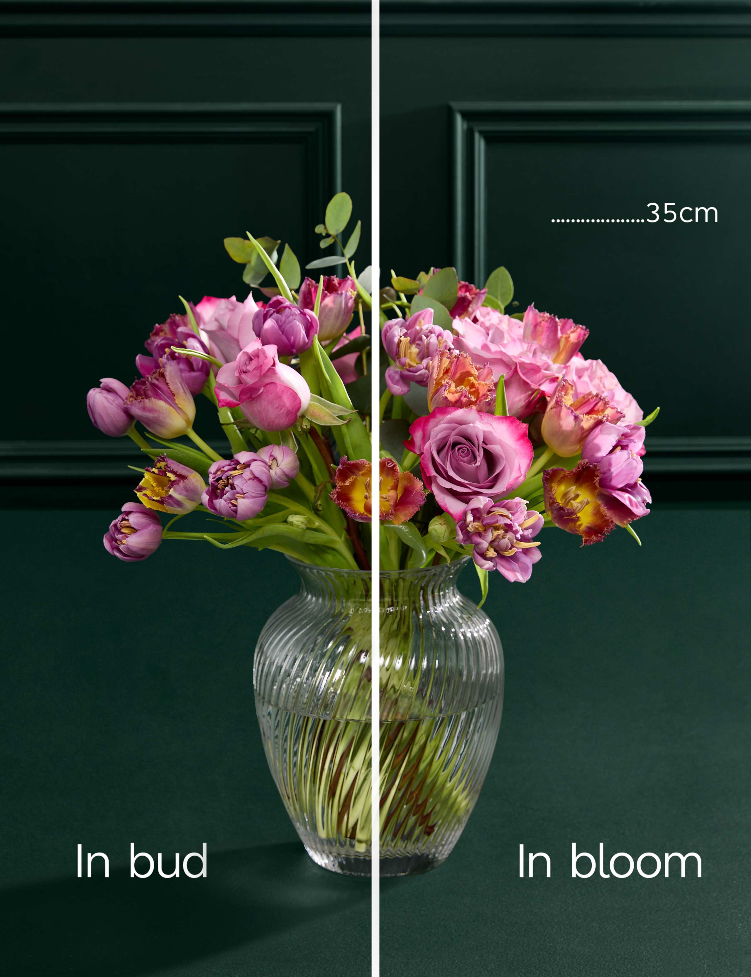 Roses & Speciality Tulip Bouquet 5 of 5