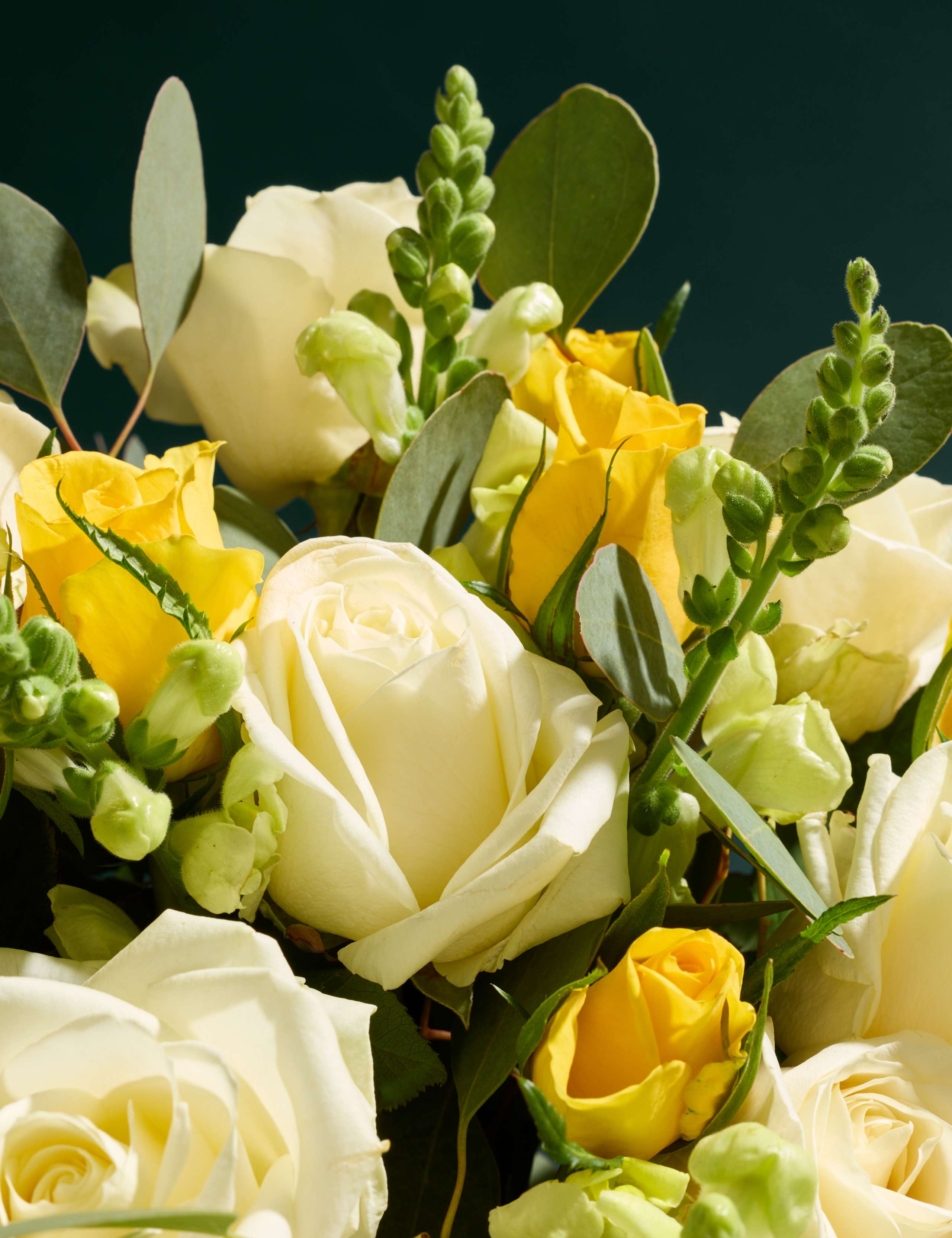 International Women’s Day Bouquet 3 of 7