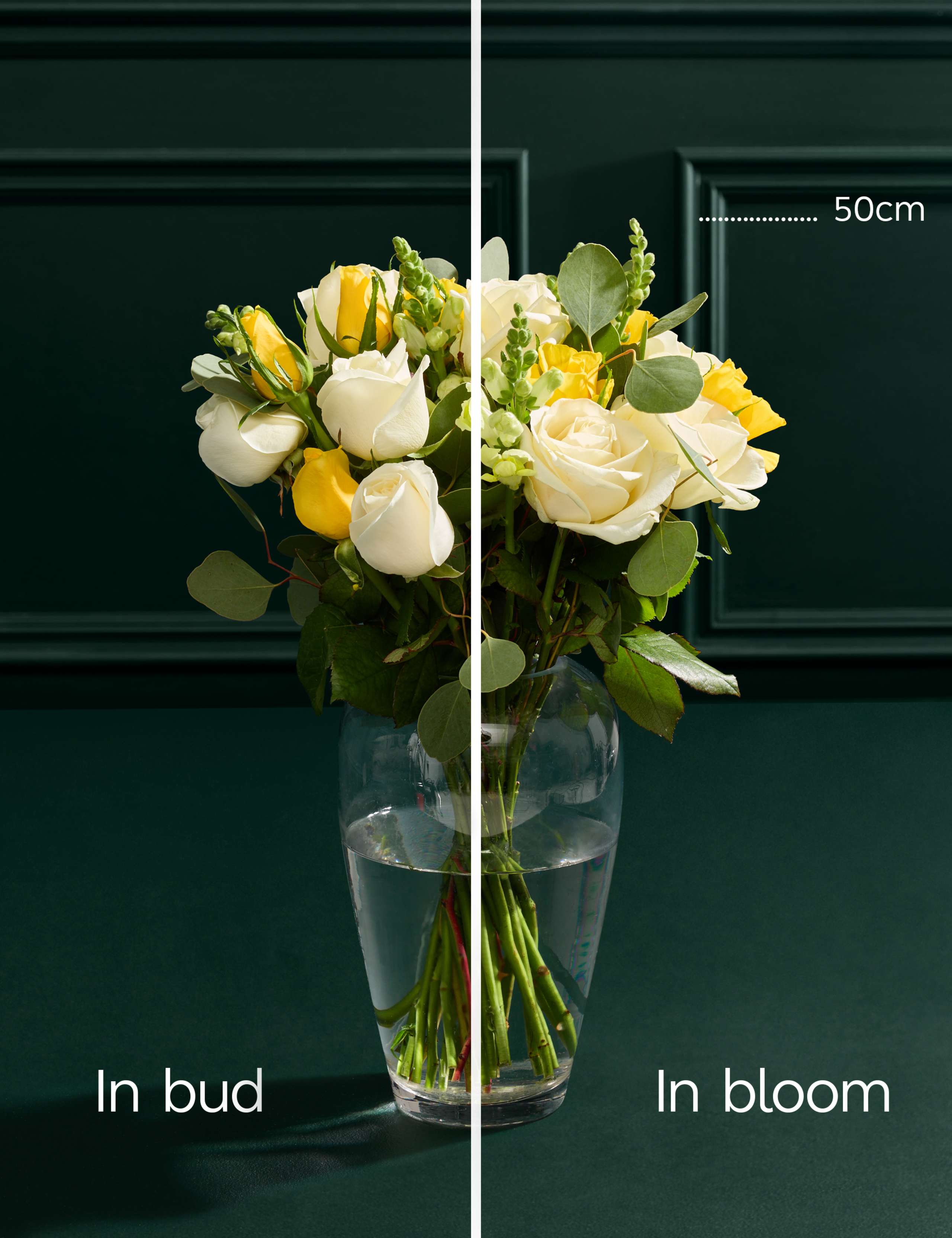 International Women’s Day Bouquet 5 of 7