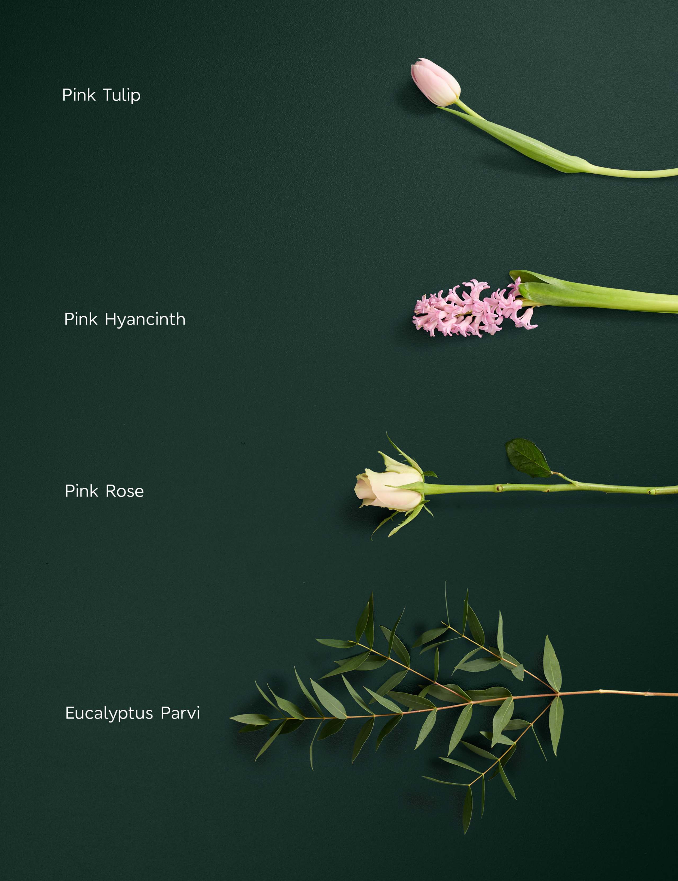 Spring Tulip Bouquet with Vase 5 of 6