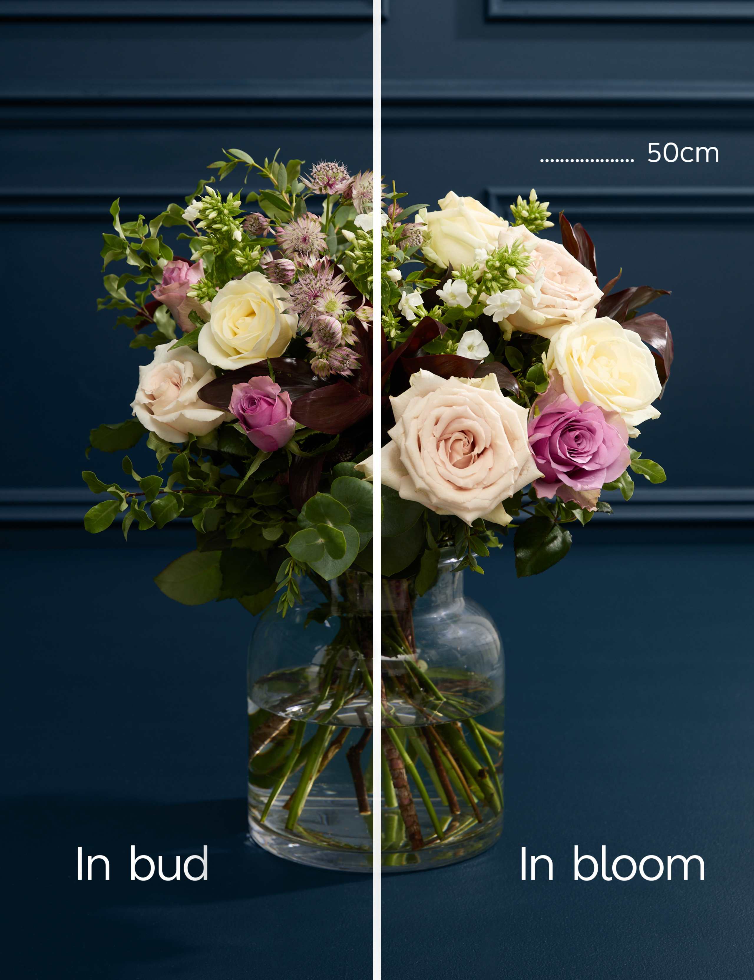 Chorus Bouquet 5 of 7