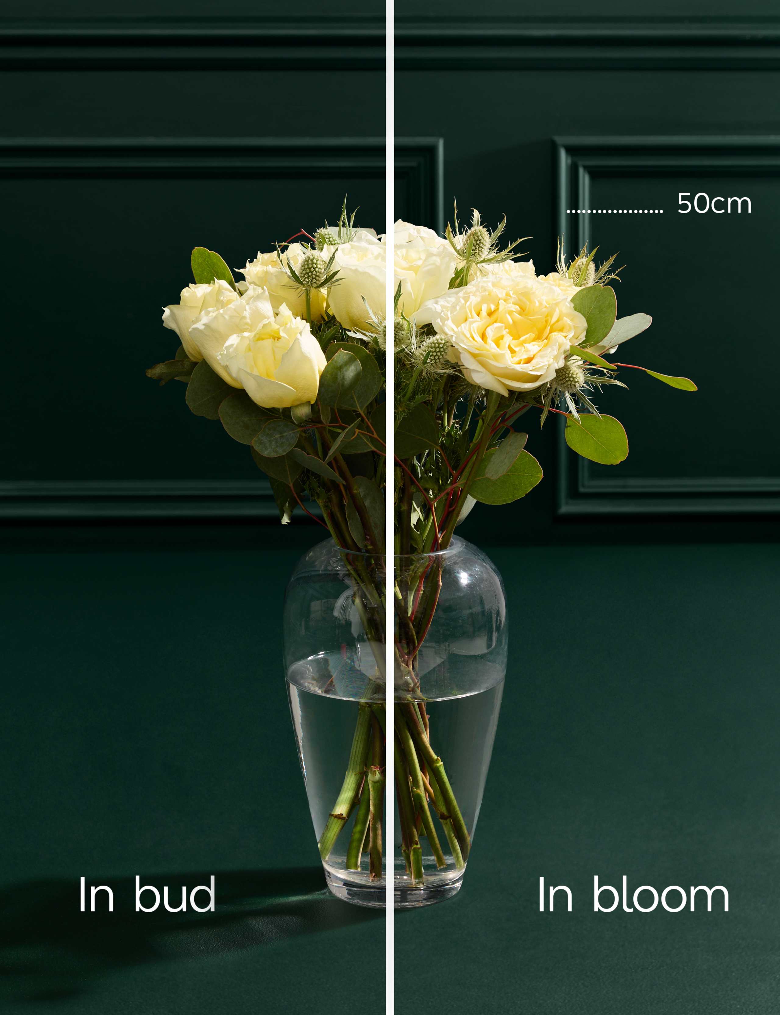 Peony Rose Crème Bouquet 4 of 4