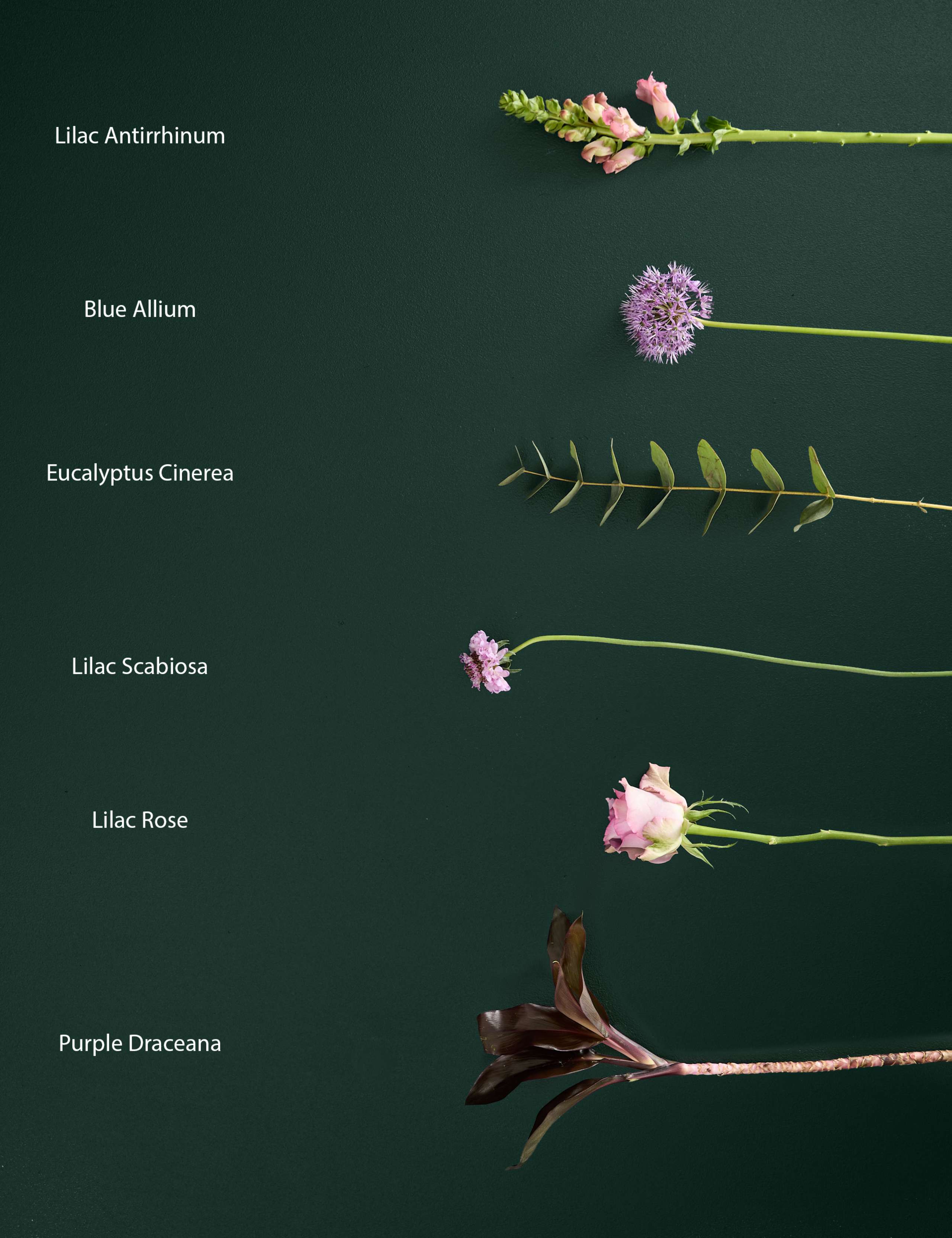 Mother's Day Allium & Rose Bouquet 4 of 5