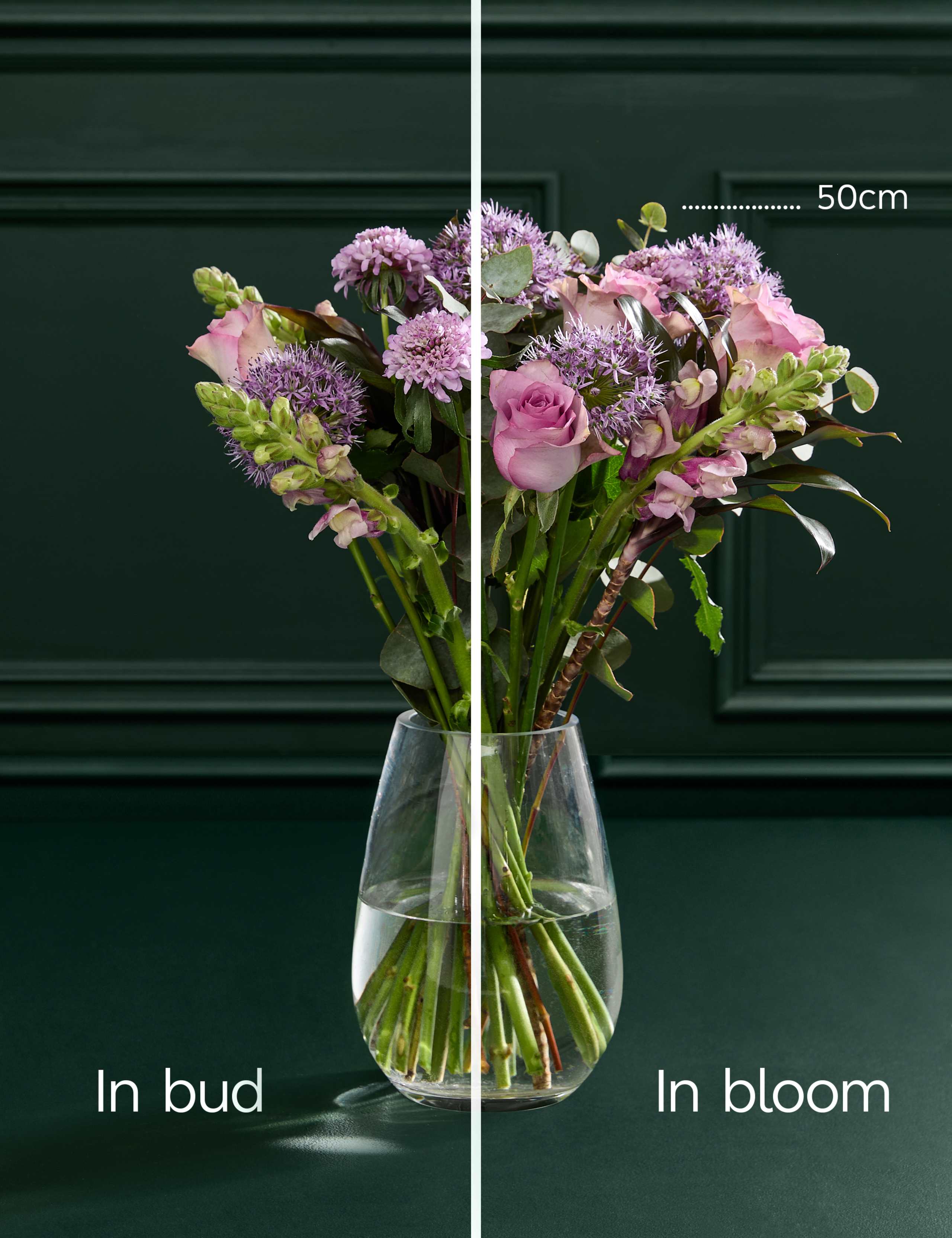 Mother's Day Allium & Rose Bouquet 5 of 5