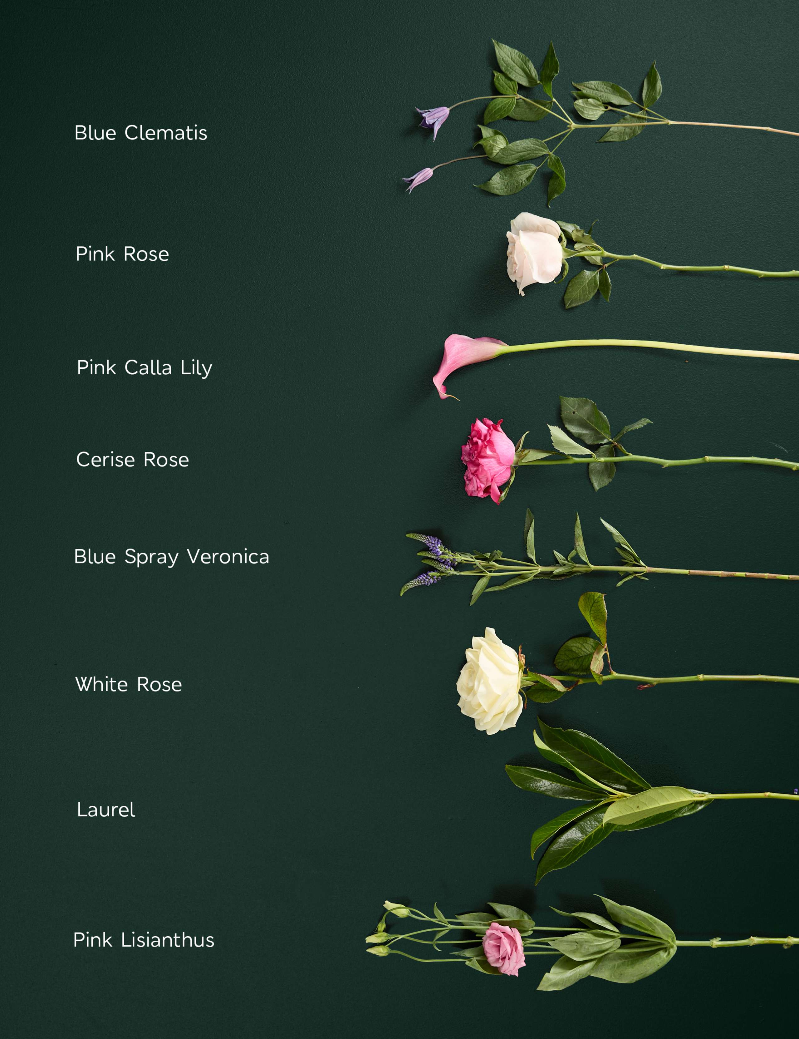 Mother's Day Luxury Pink Rose Bouquet 4 of 4