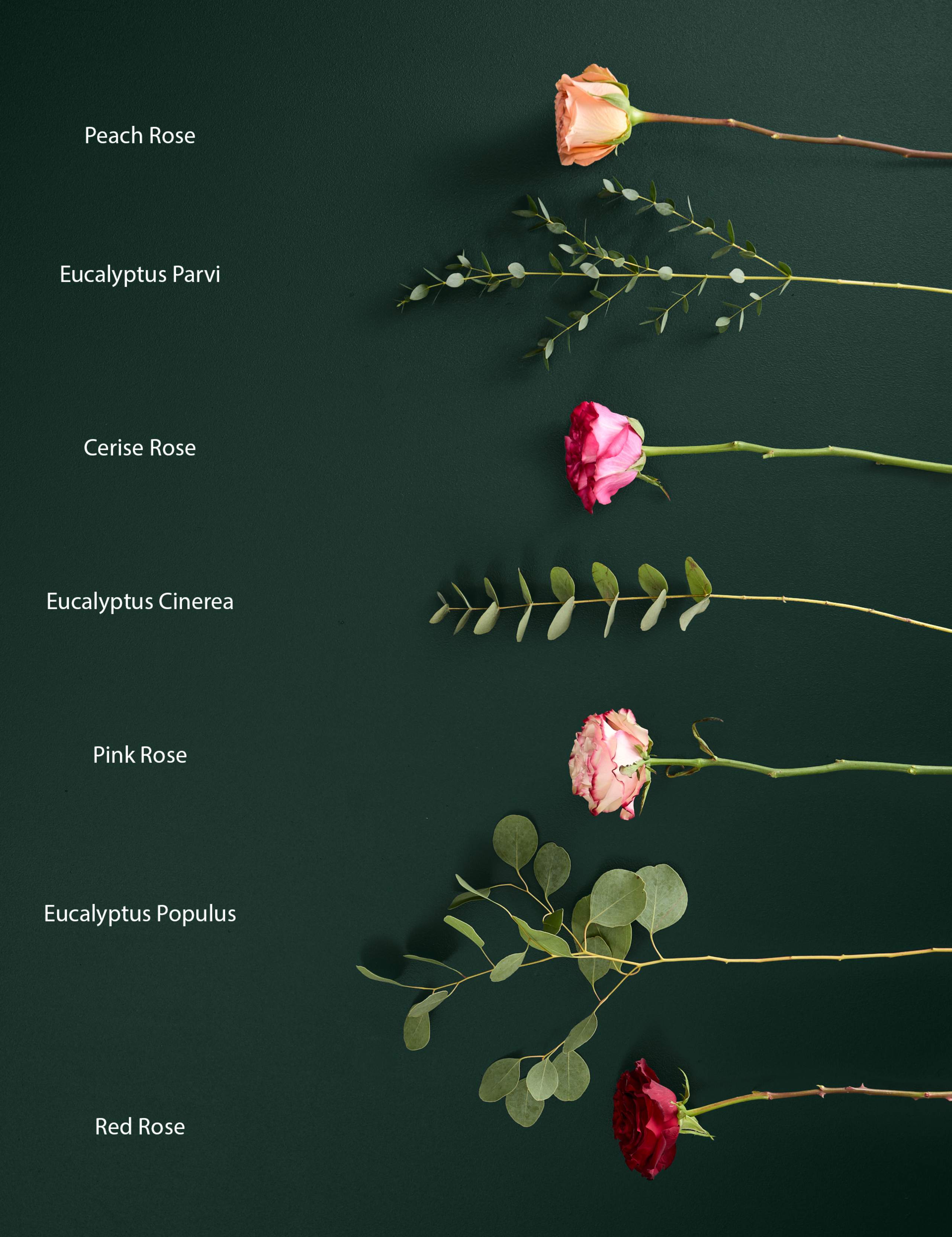 Mother's Day Country Rose Bouquet 4 of 5