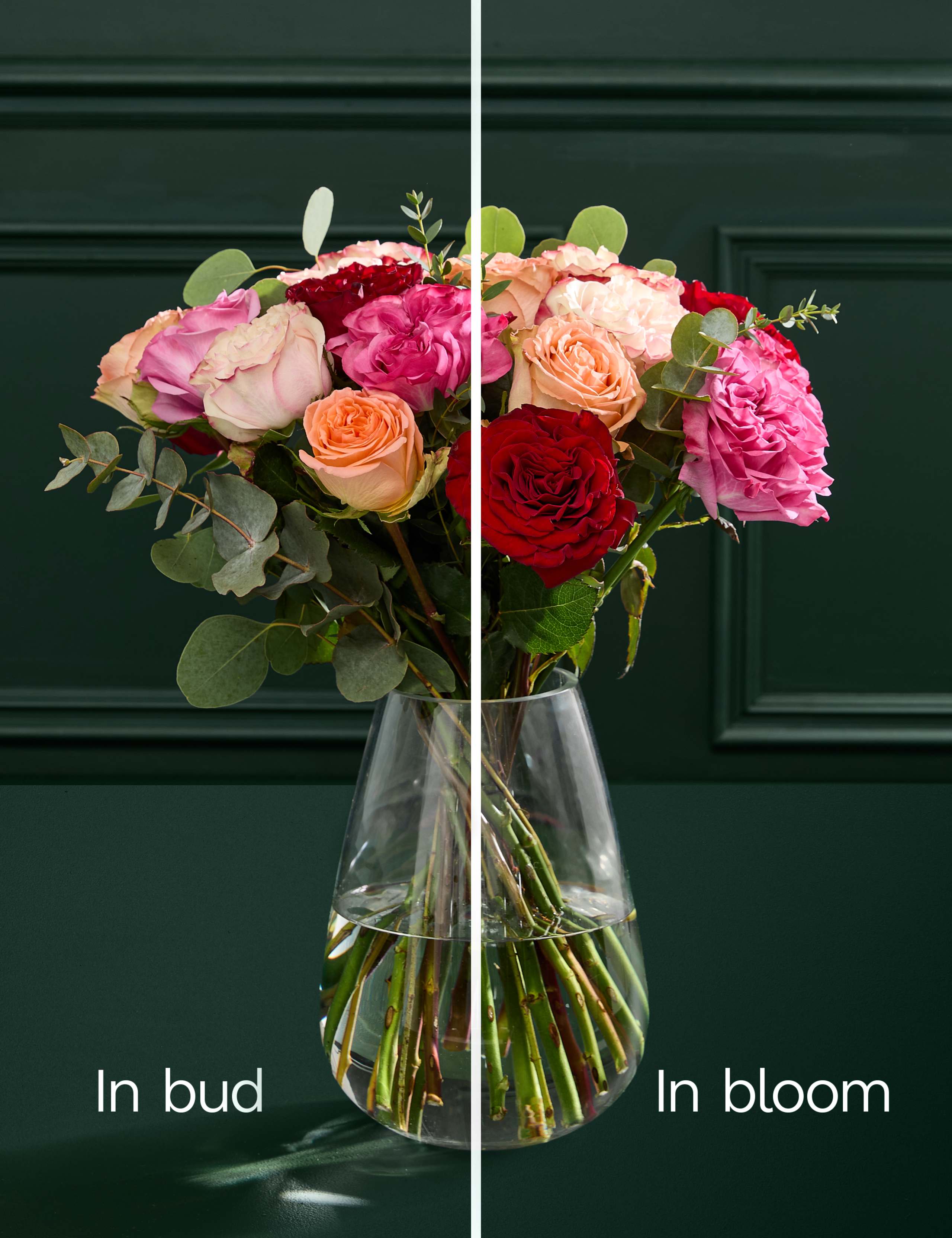 Mother's Day Country Rose Bouquet 5 of 5