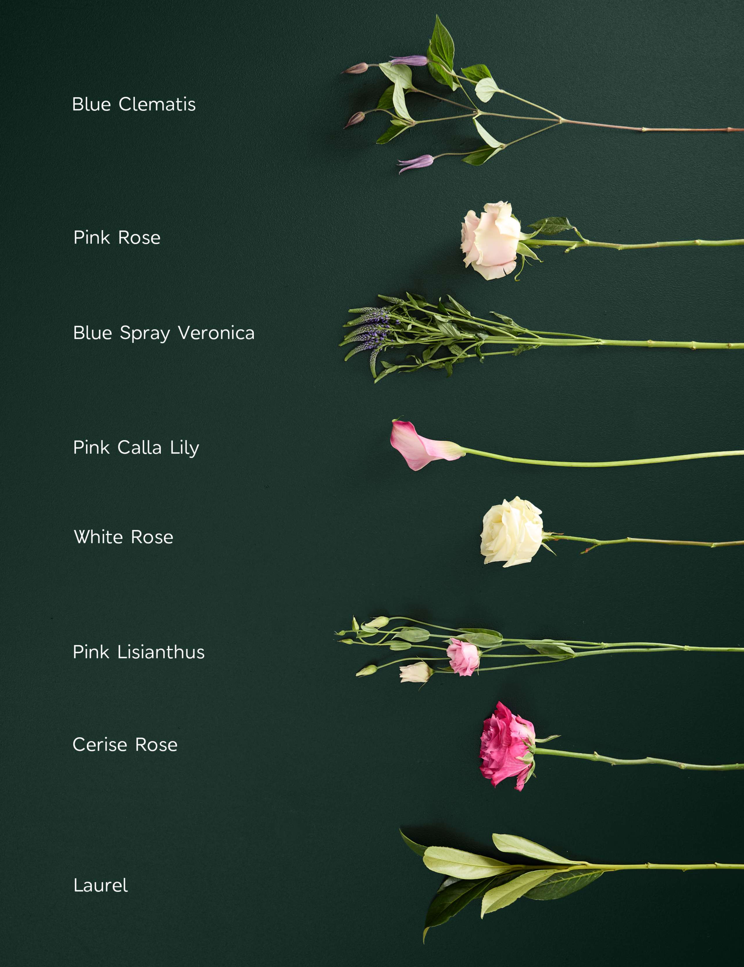 Mother's Day Luxury Pink Rose Bouquet with Champagne & Chocolates 5 of 6