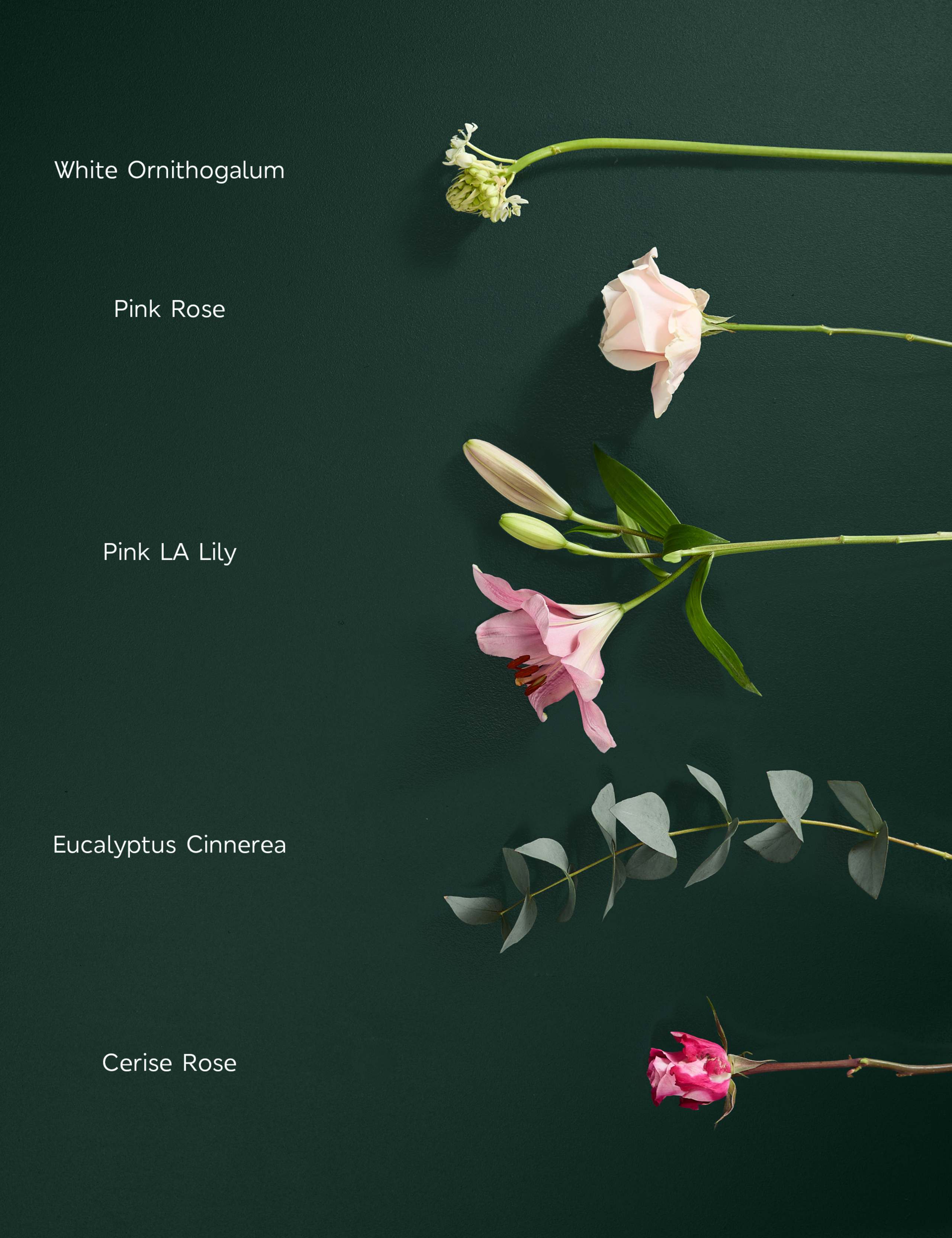 Mother's Day Pink Rose Bouquet with Rosé Champagne 5 of 6