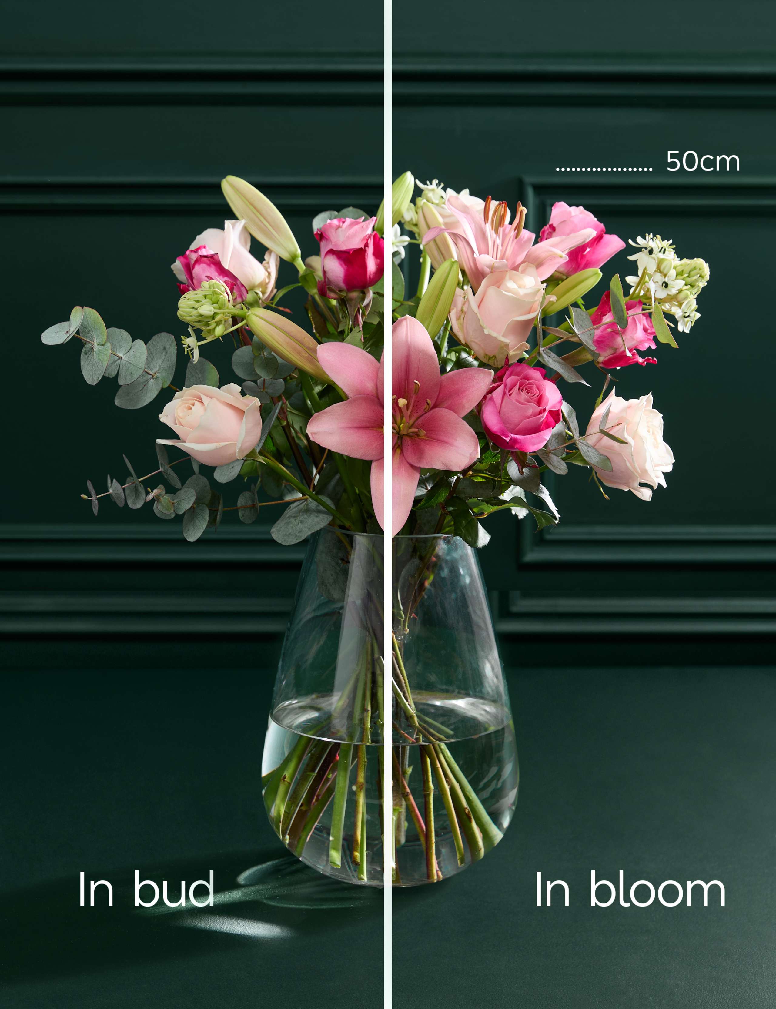 Mother's Day Pink Rose Bouquet with Rosé Champagne 6 of 6